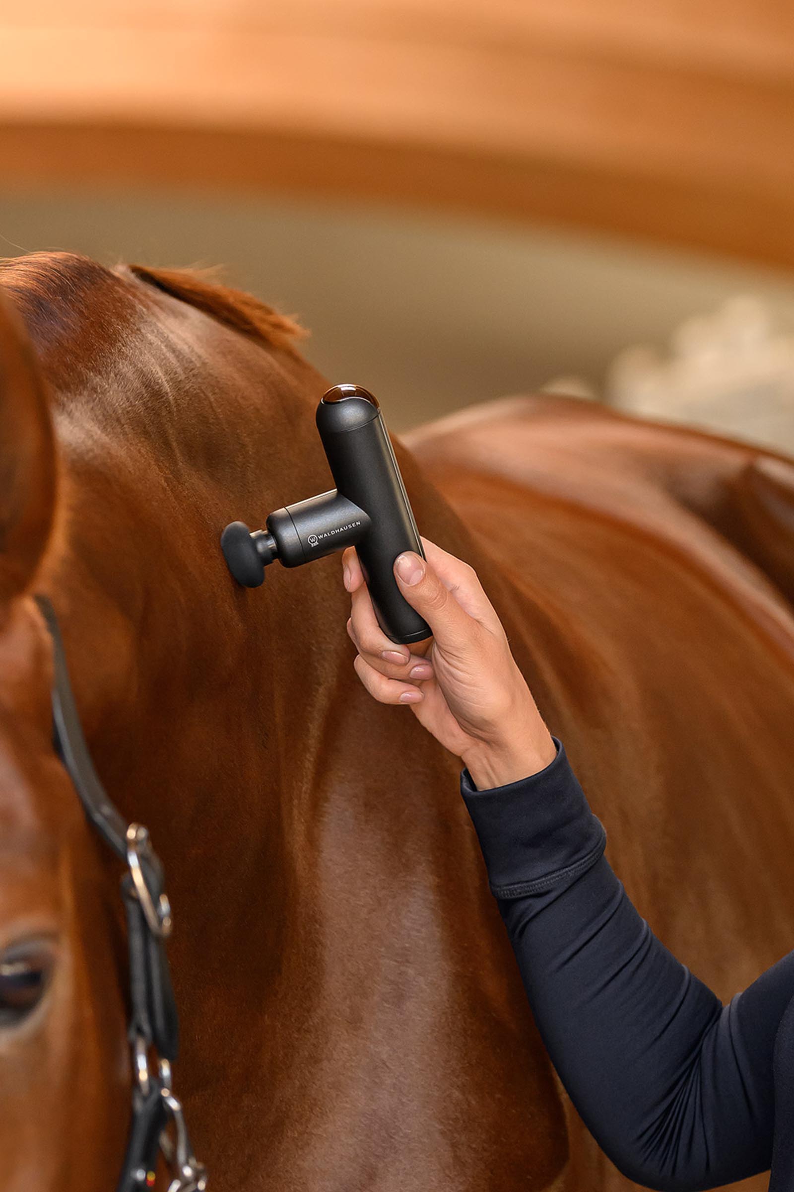 Waldhausen Health + Care Massageger&auml;t Pocket Relax