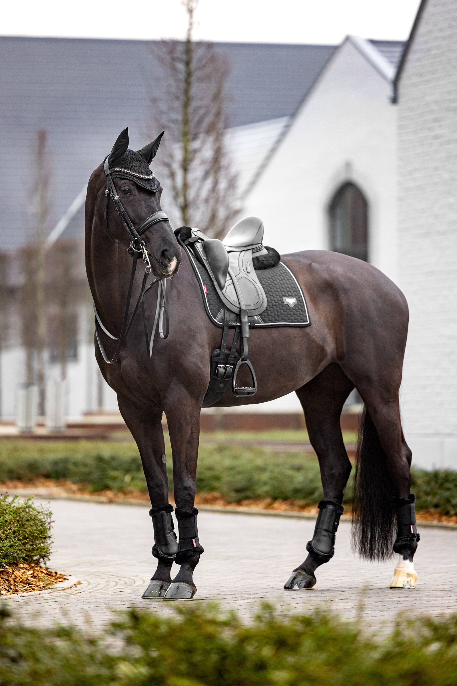 LeMieux Puissance Dressurschabracke aus Wildlederimitat