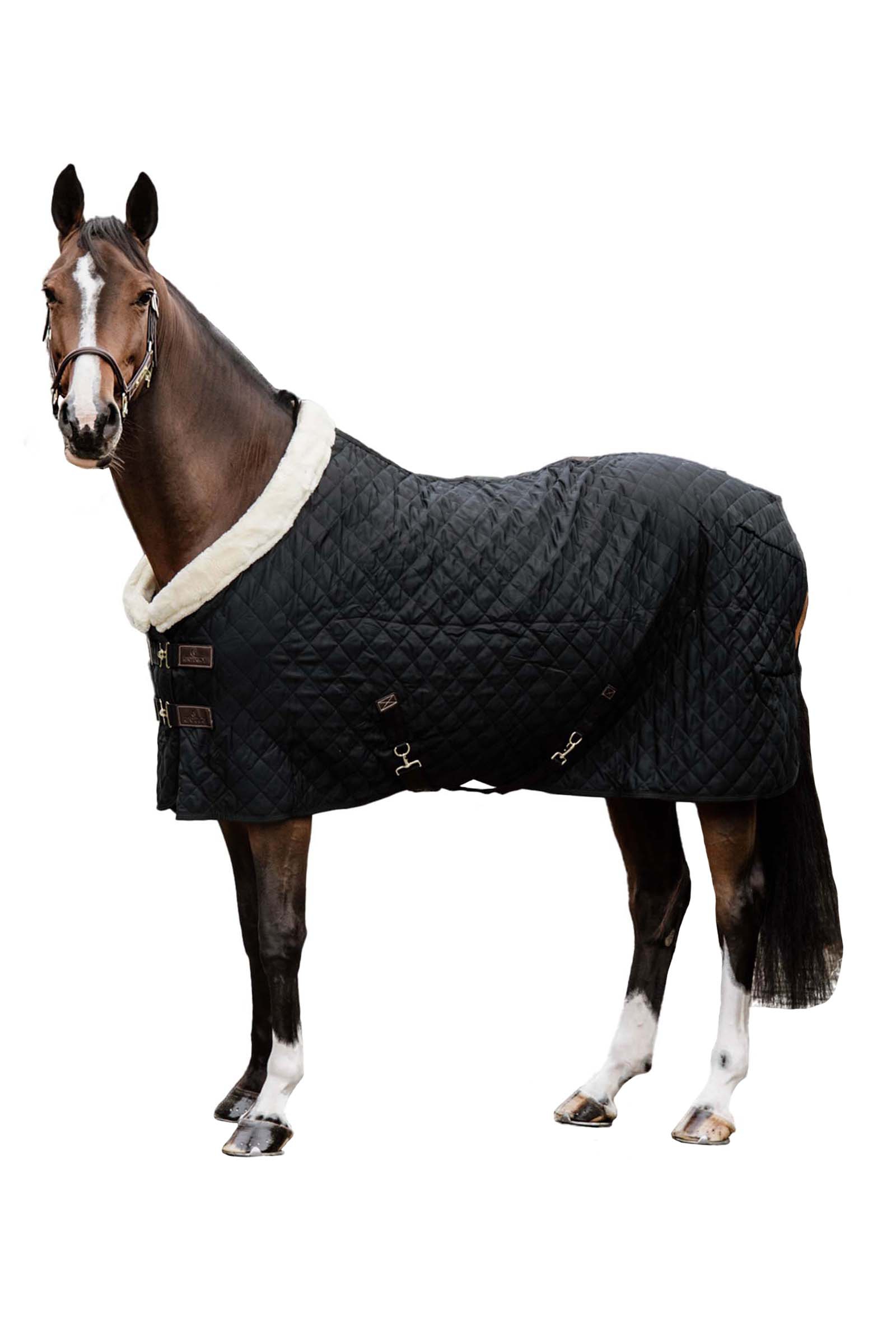 Kentucky Horsewear Show Rug Turnierdecke, 160g