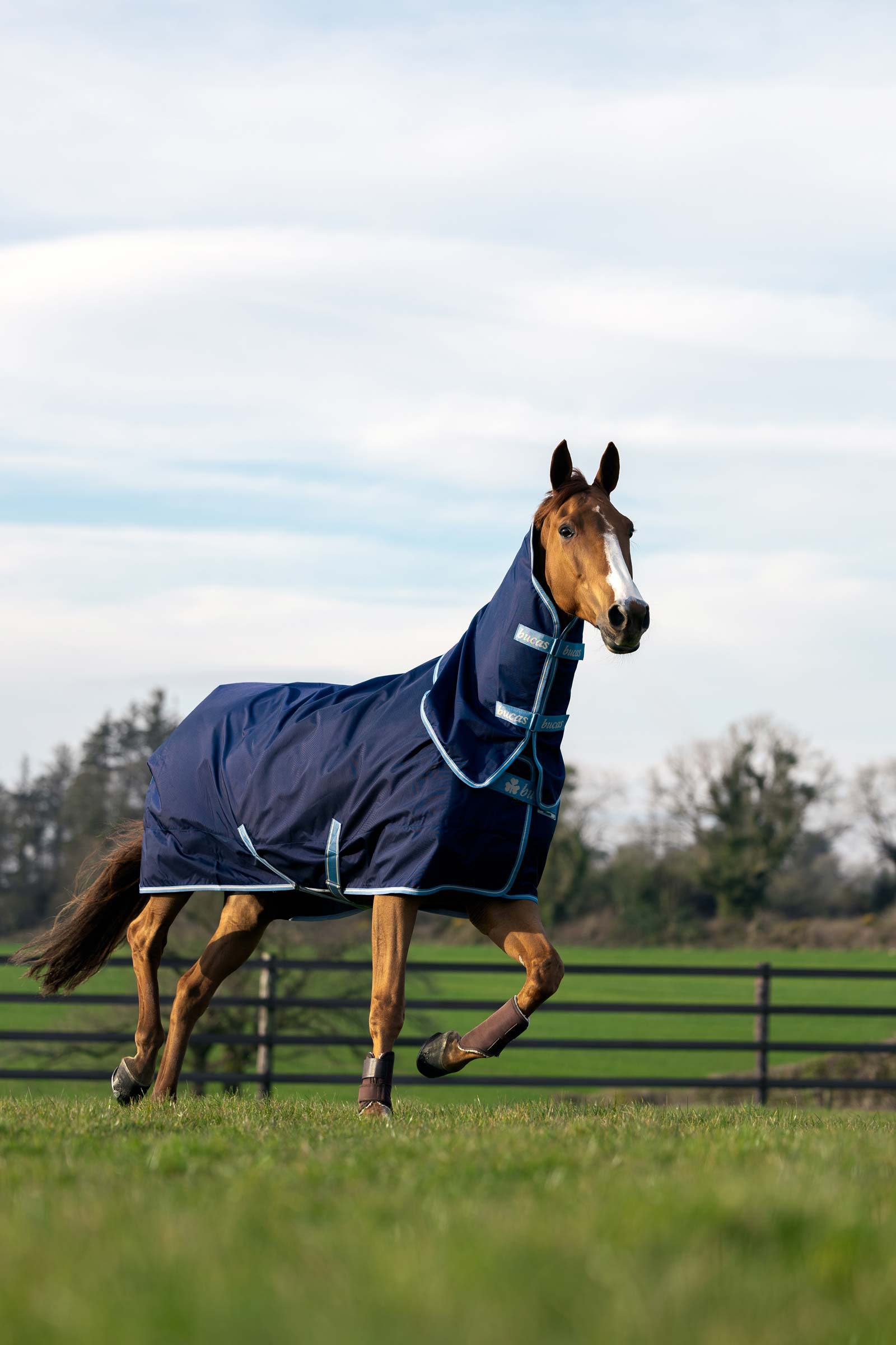 Bucas Atlantic Exclusive Decke & Halsteil Set, 150 g