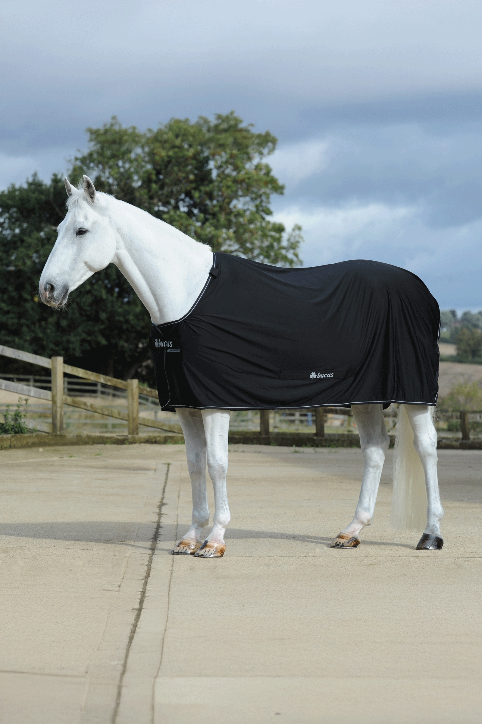 Bucas Power Abschwitzdecke