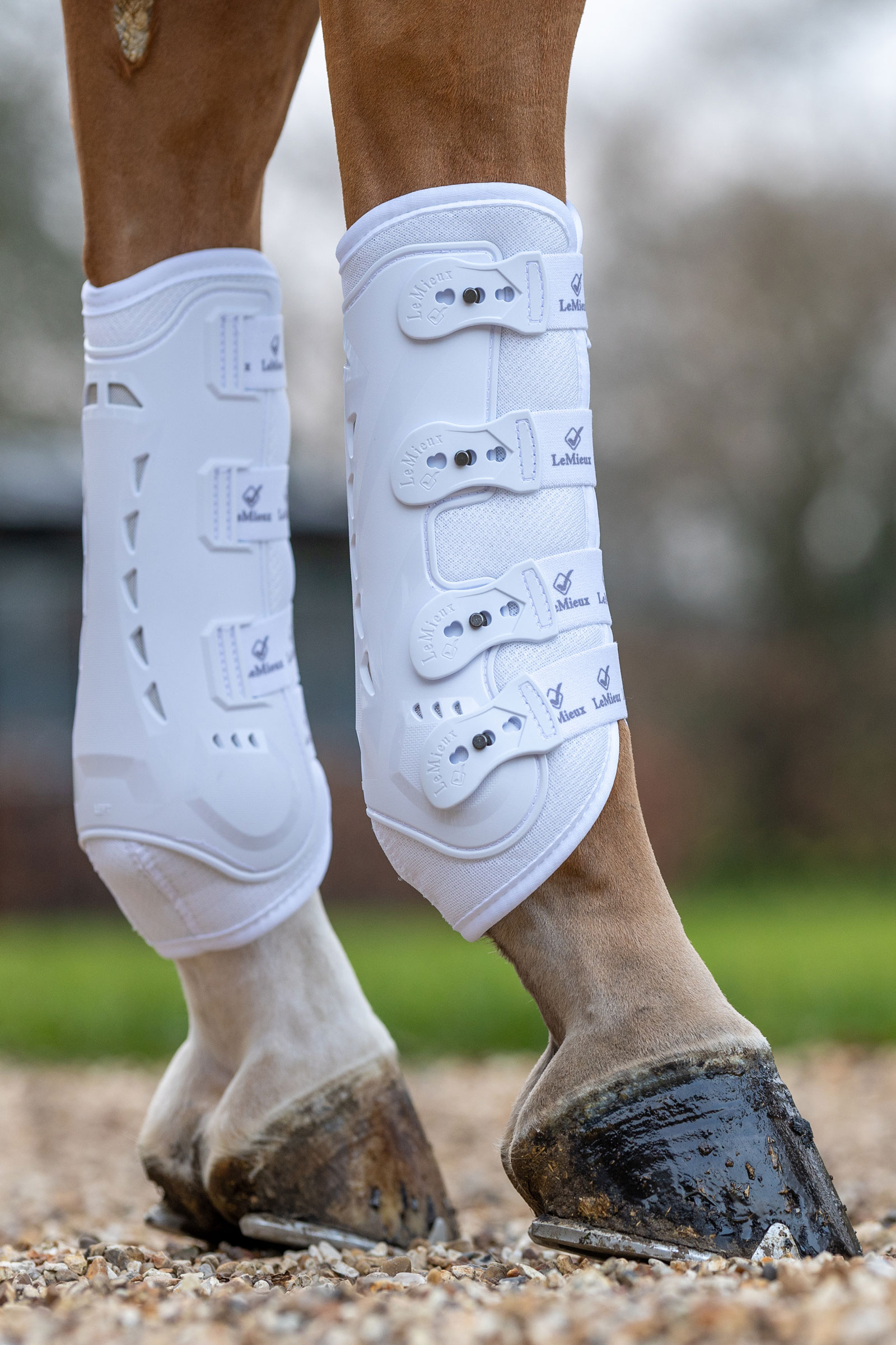 LeMieux Ultra Mesh Snug Gamaschen, hinten