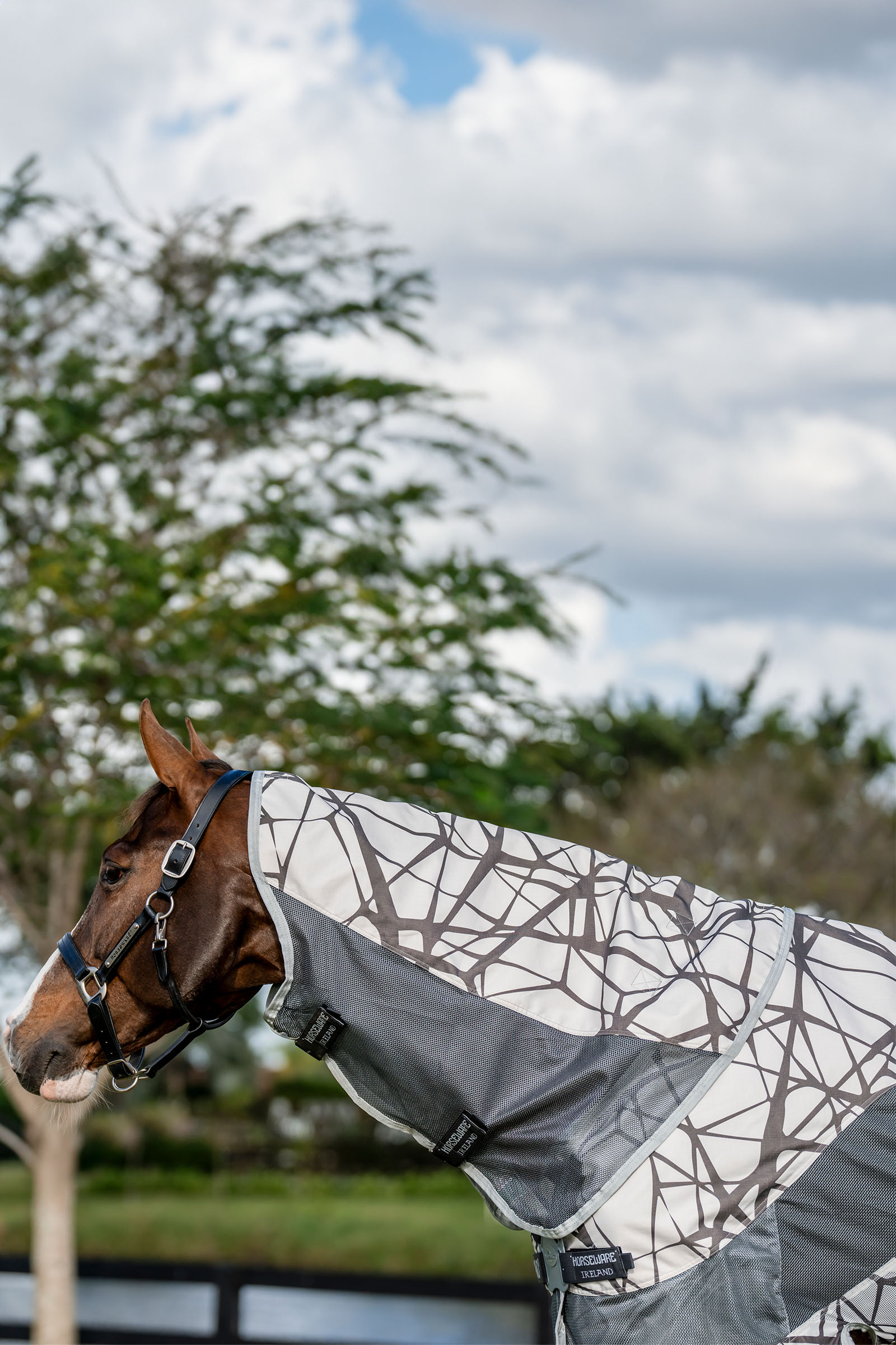 Horseware Amigo 3-in-1 CamoFly Fliegendecke