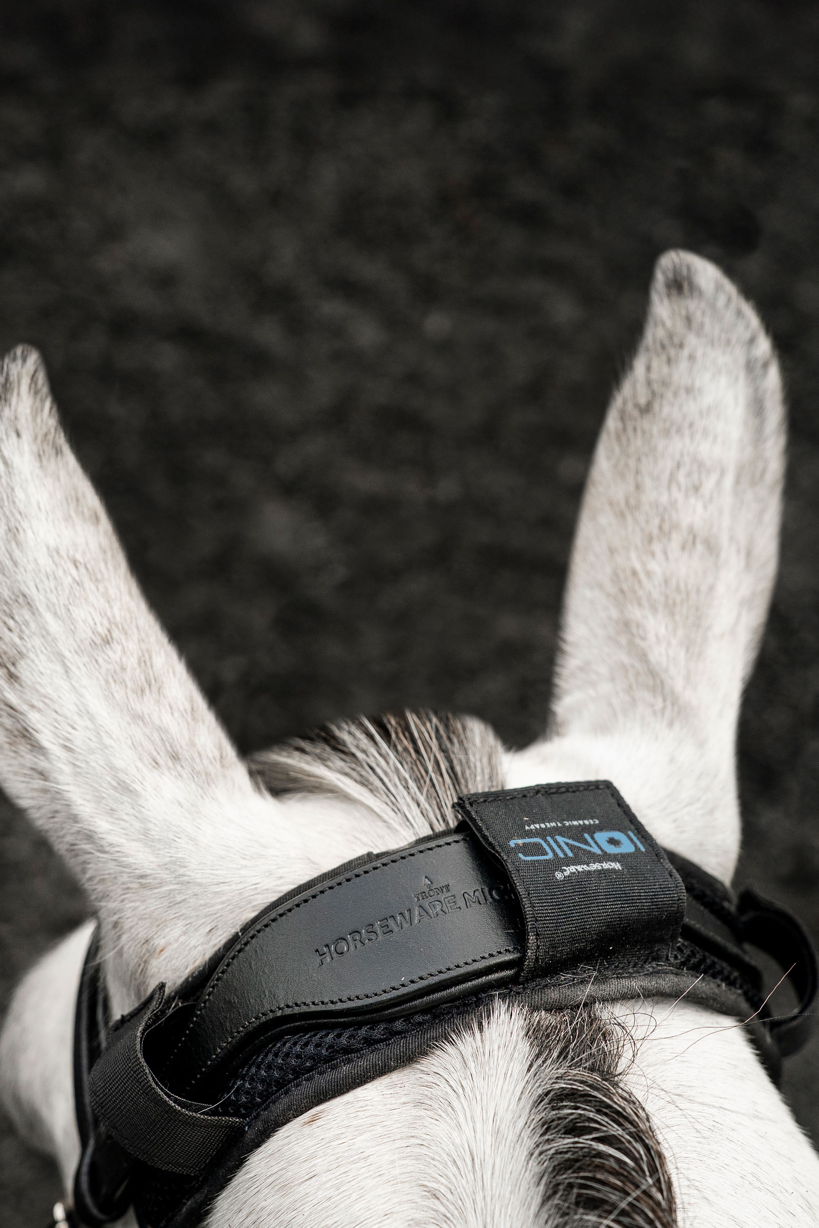 Horseware Ionic Genickschoner