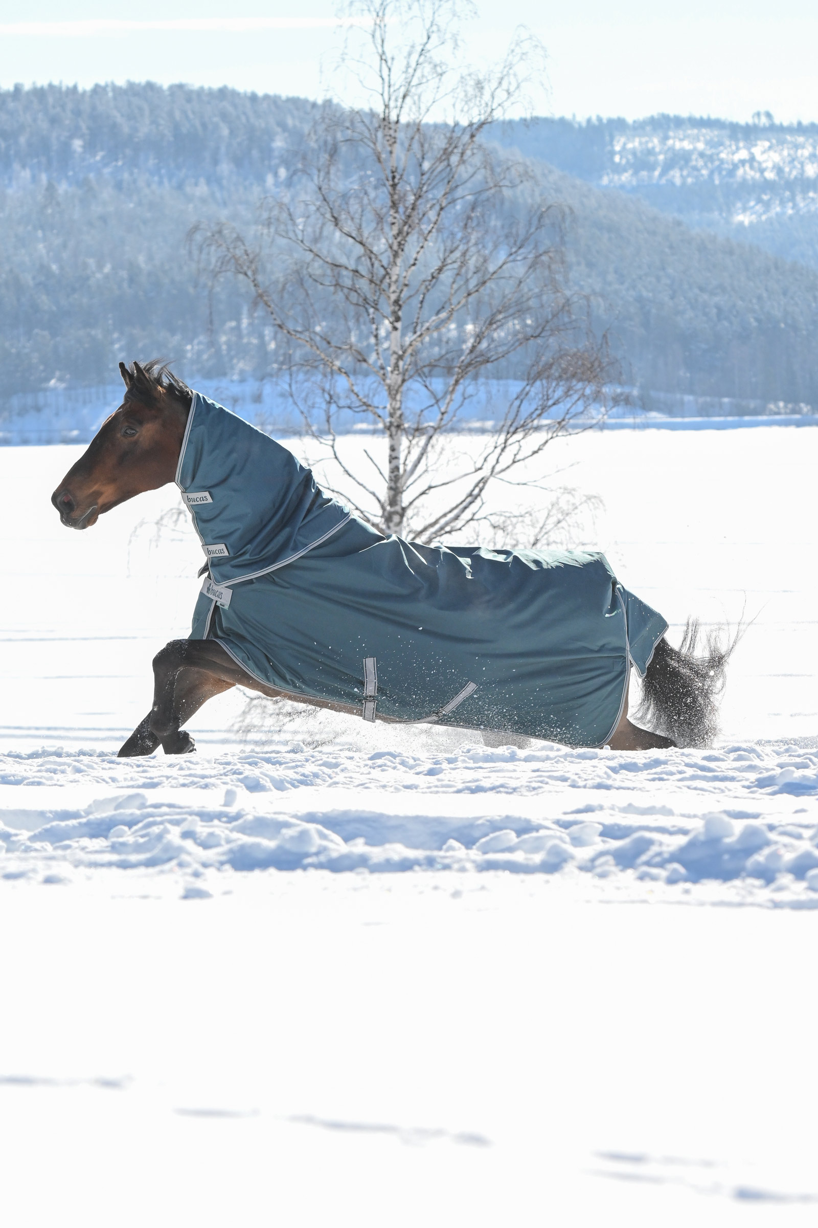 Bucas Atlantic Halsteil f&uuml;r Weidedecke, 300 g