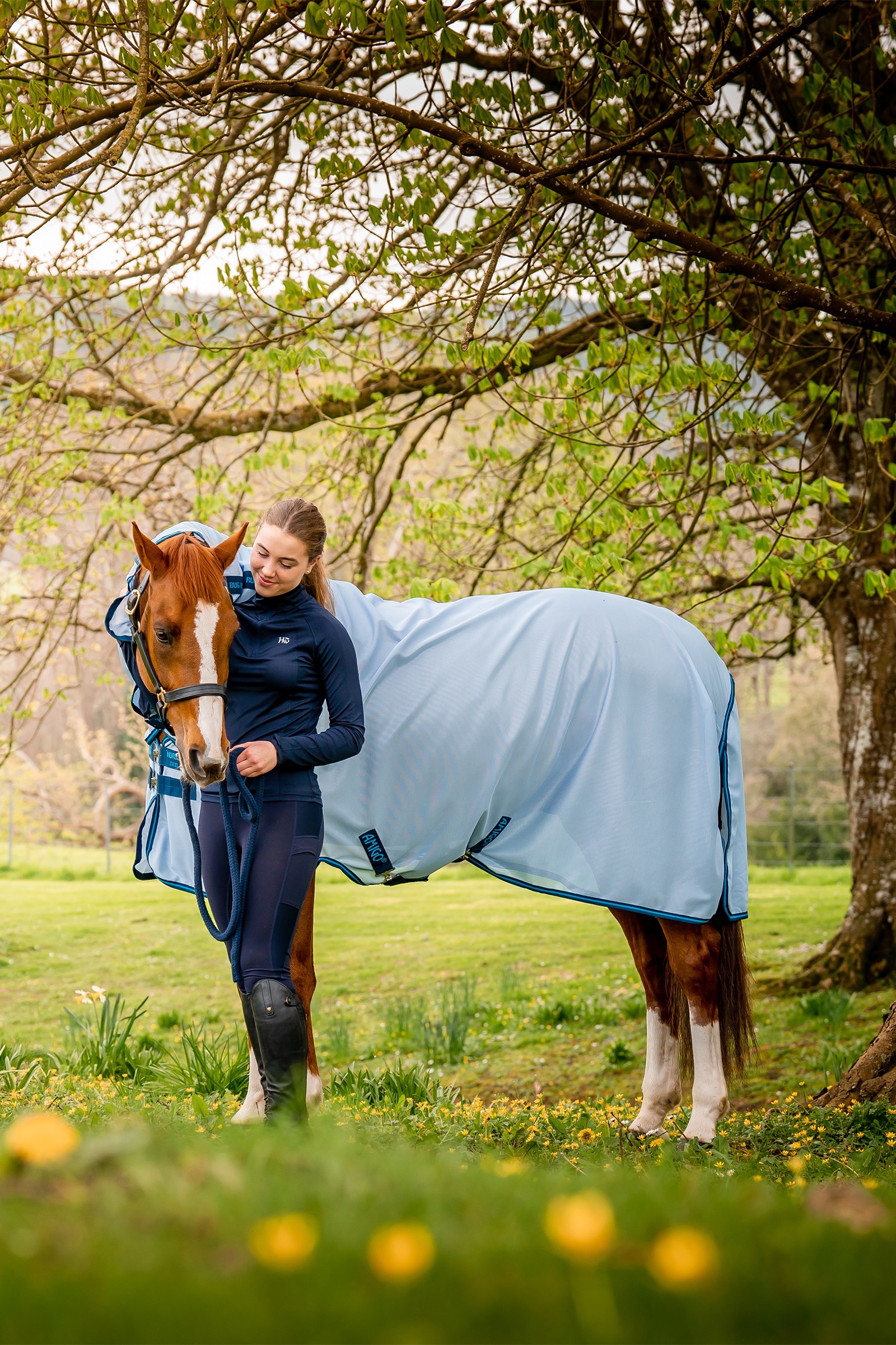 Horseware Amigo Fliegendecke