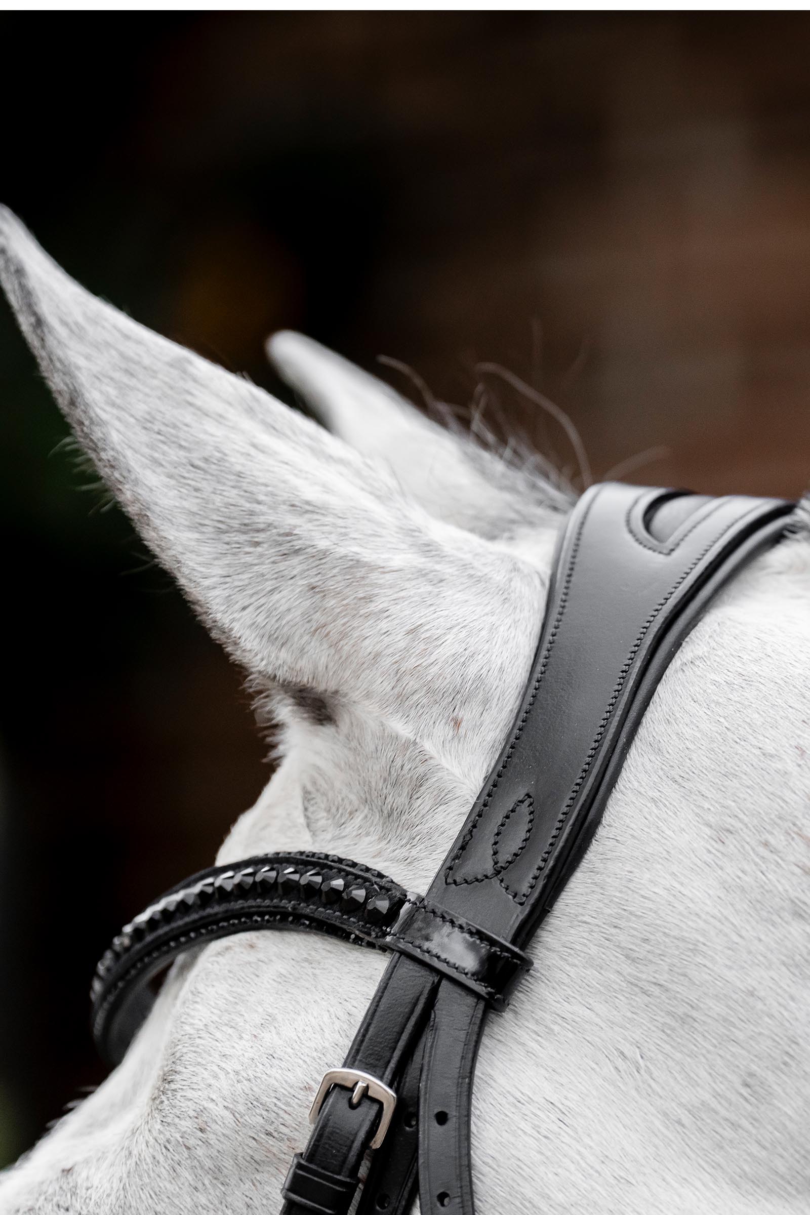 Horseware Diamante Trense mit kombiniertem Reithalfter