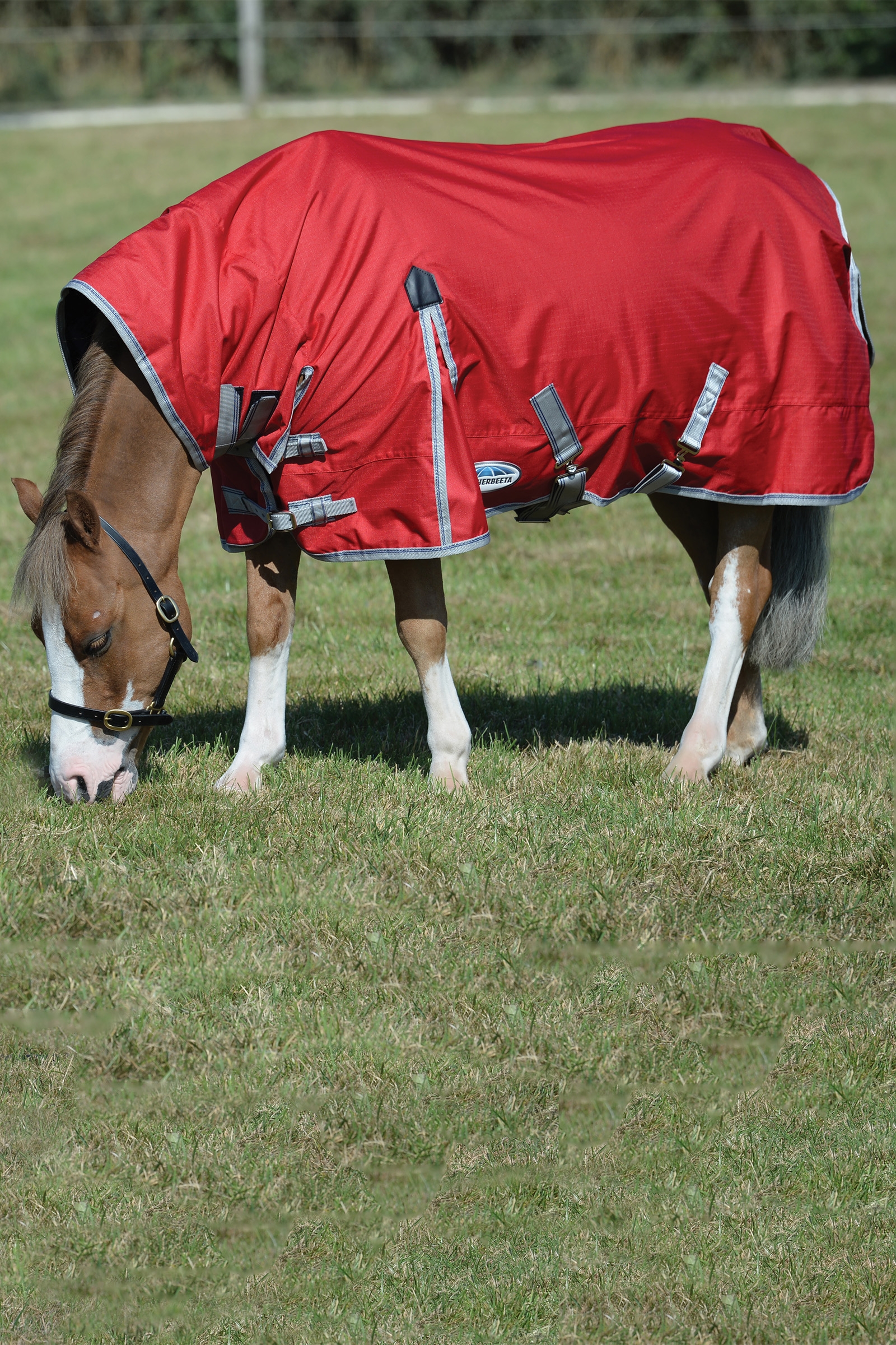 Weatherbeeta Comfitec Classic Weidedecke mit integriertem Halsteil, 50g