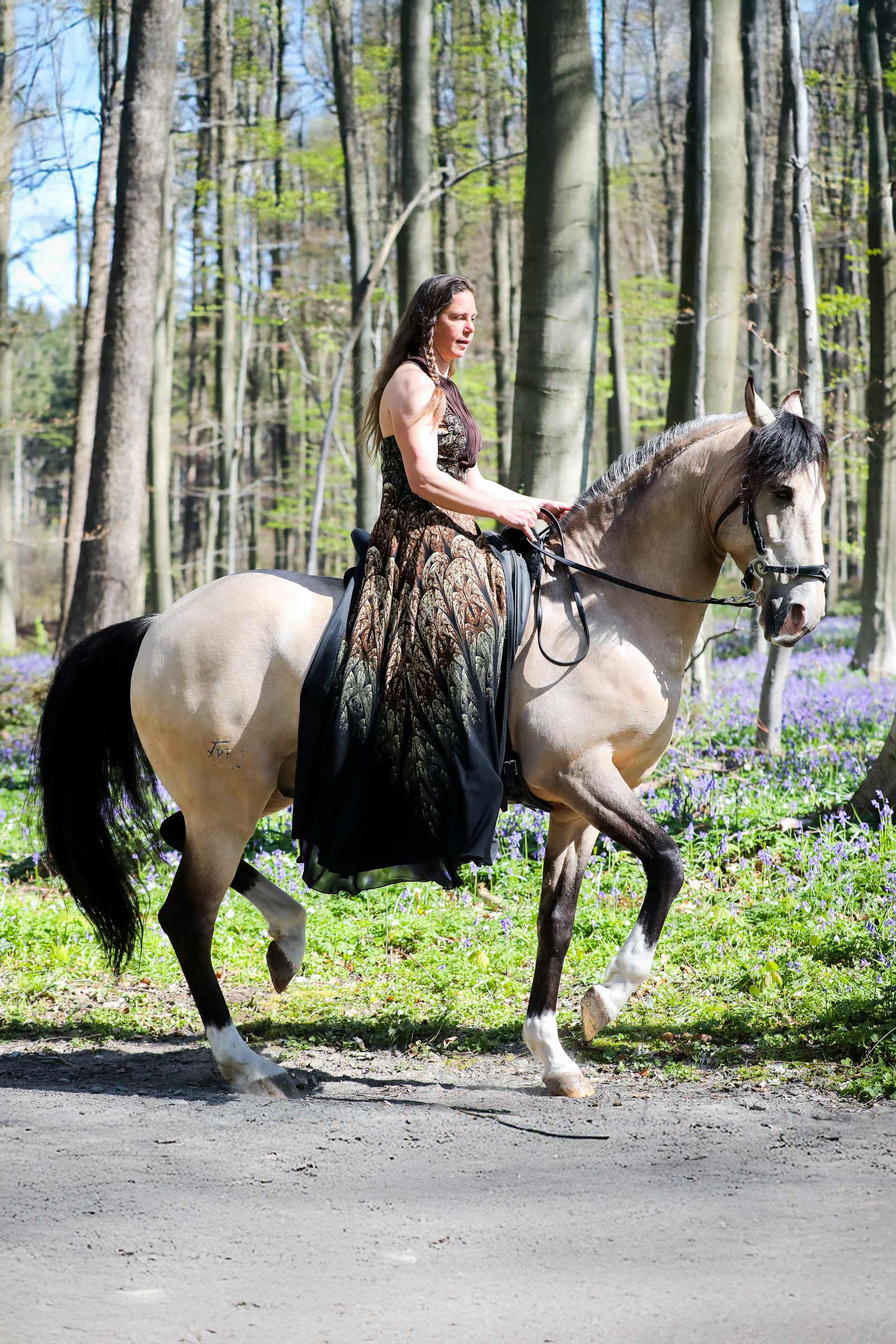 F.R.A. Freedom Riding Articles Imperial Hackamore Zaum mit Zügeln (System 2)