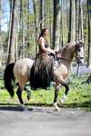 F.R.A. Freedom Riding Articles Imperial Hackamore Zaum mit Zügeln (System 2)