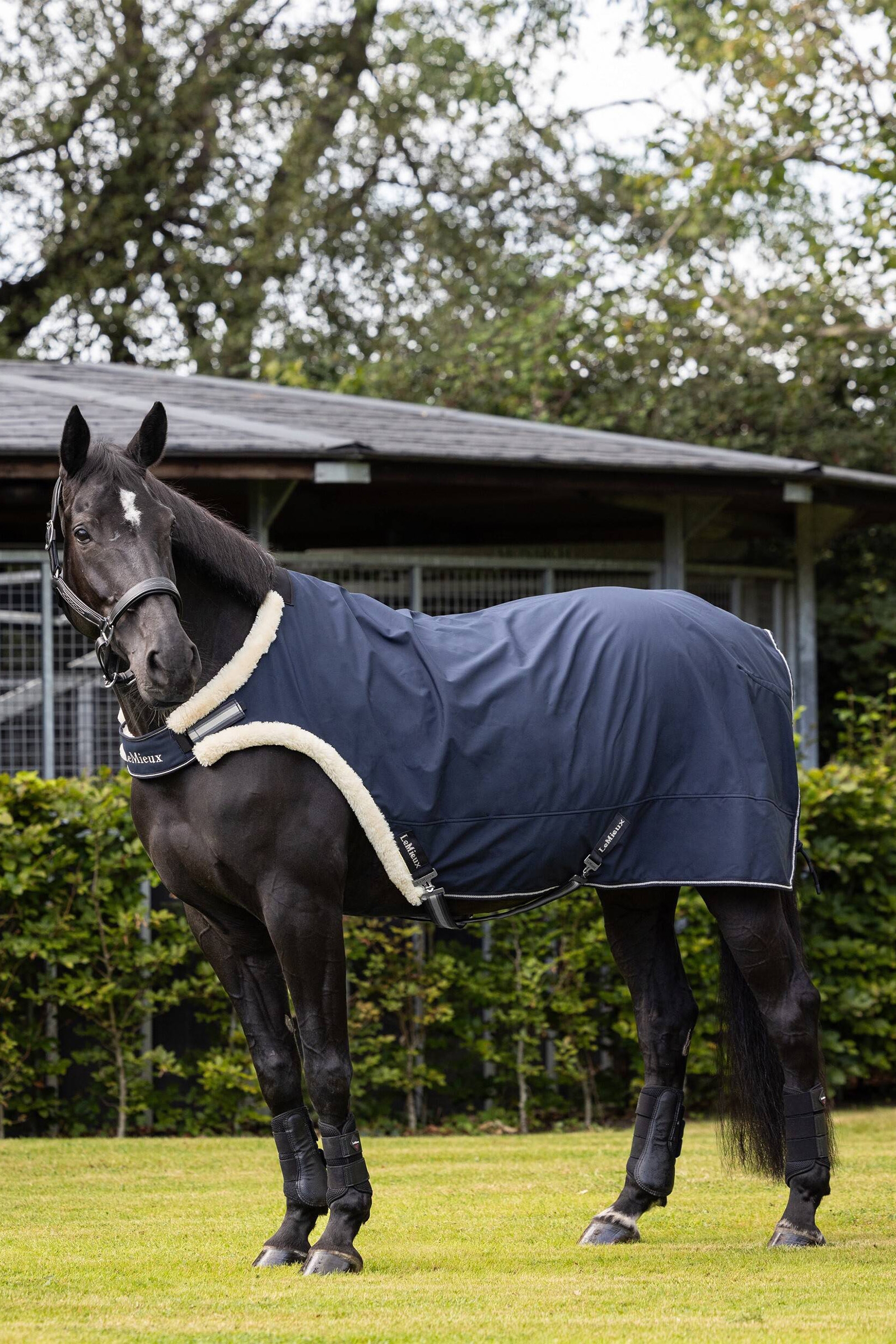 LeMieux Führanlagendecke