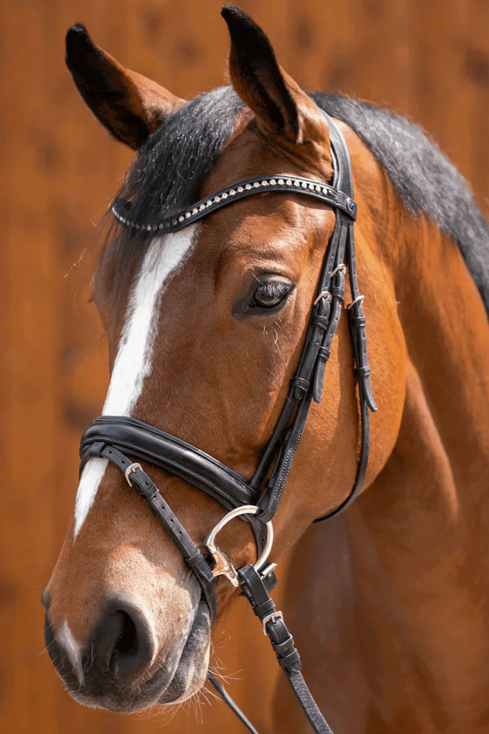 Sprenger Novocontact Oliv.K.TR. Doppelt Gebr.