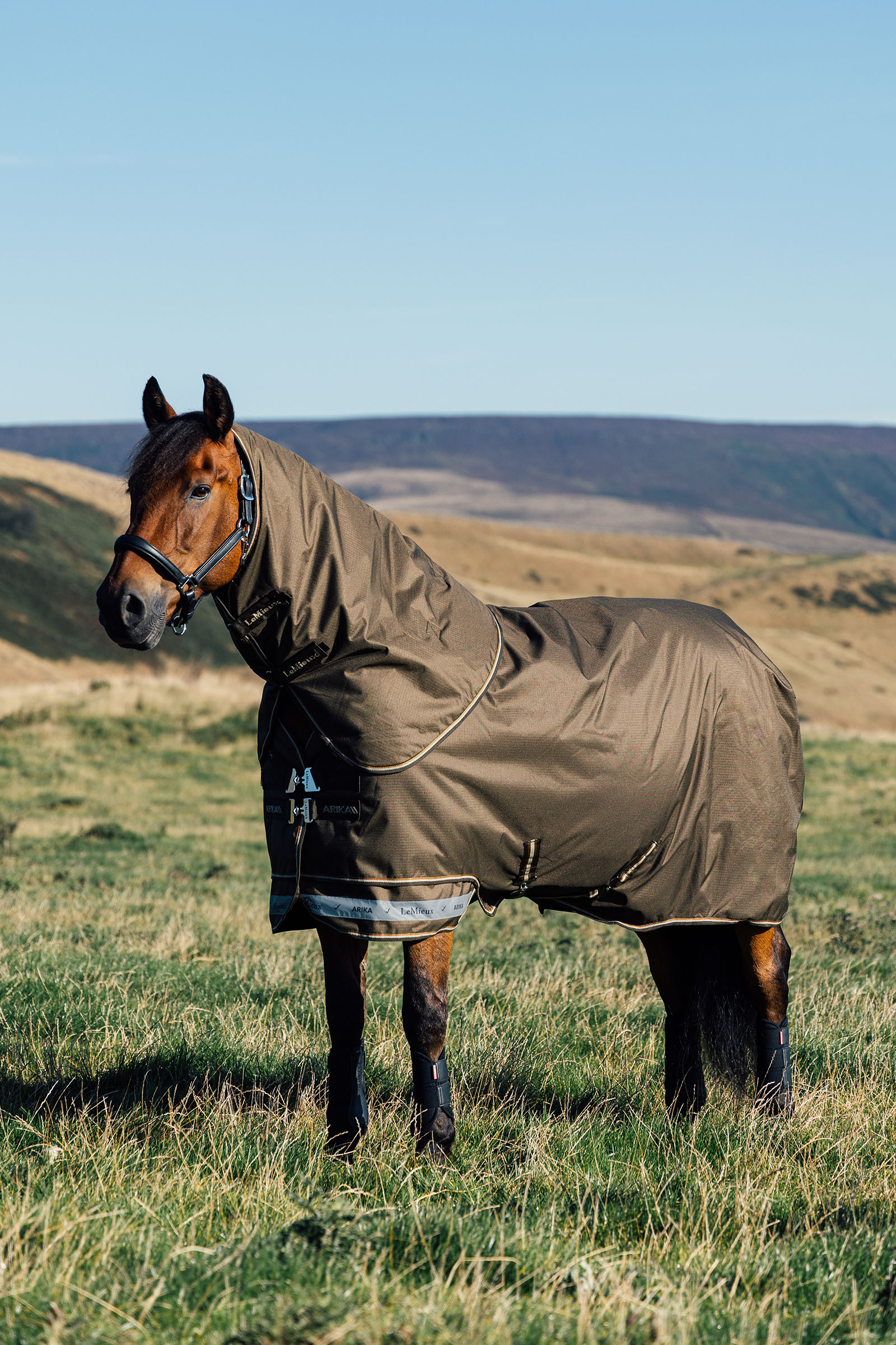 LeMieux Arika Ripstop Weidedecke mit abnehmbarem Halstseil, 0 g