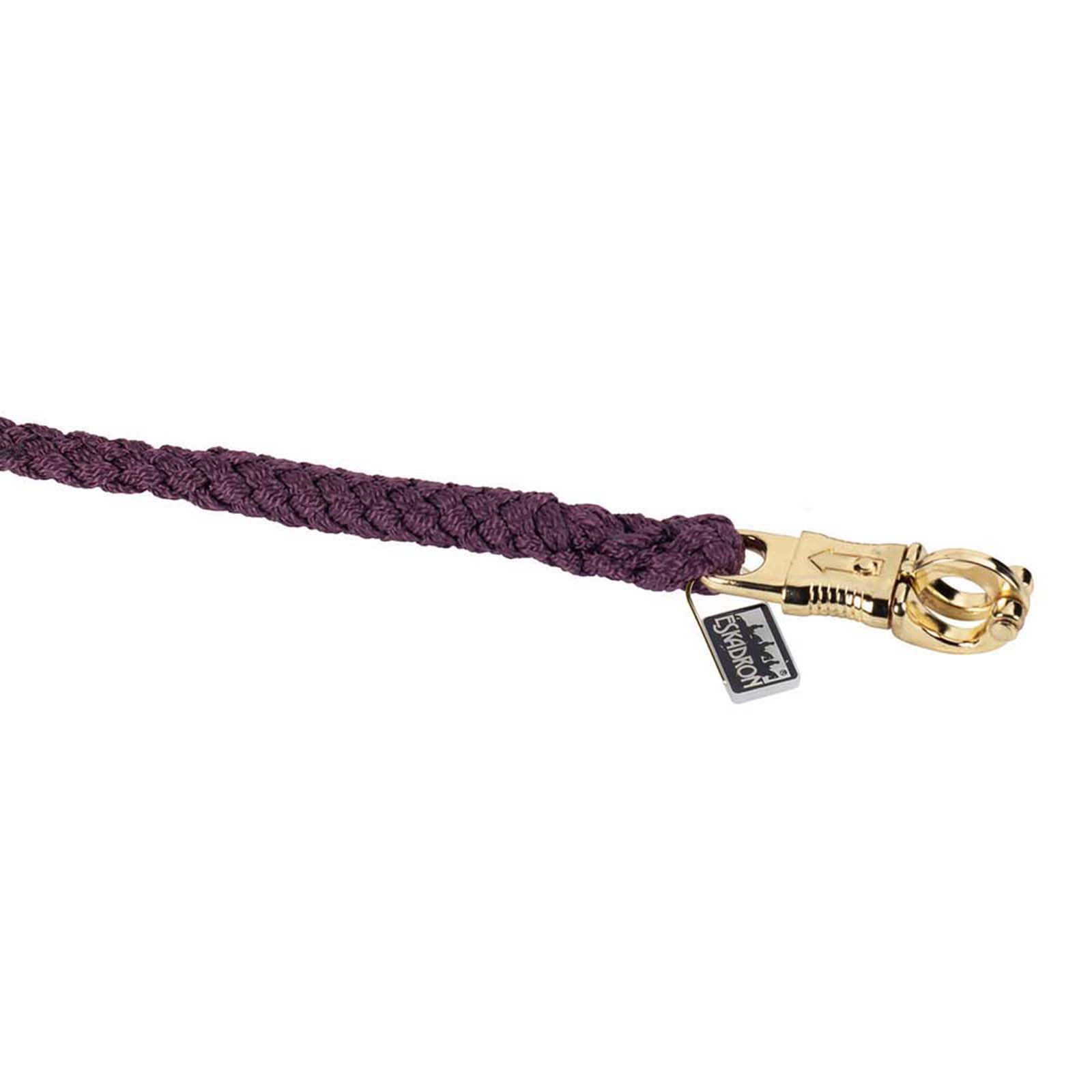 Eskadron Anbindestrick Panikhaken