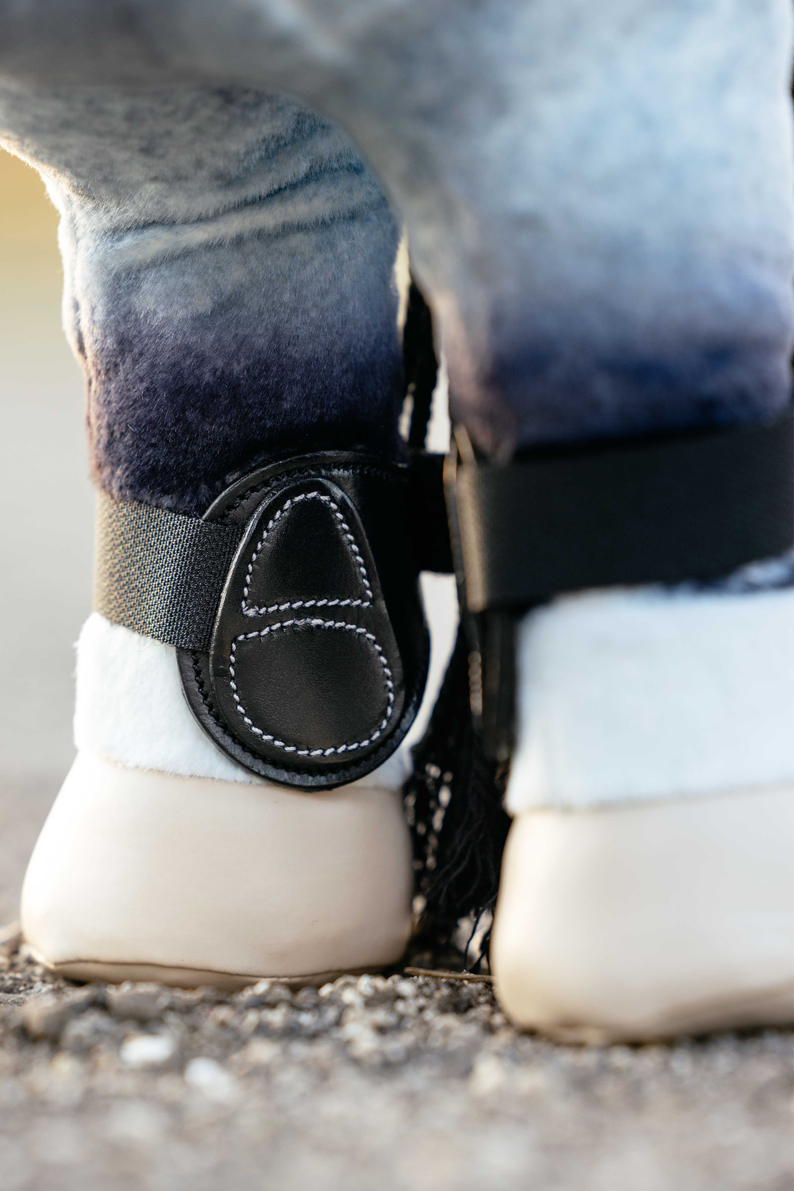 LeMieux Capella Gamaschen f&uuml;r Spielzeugpony