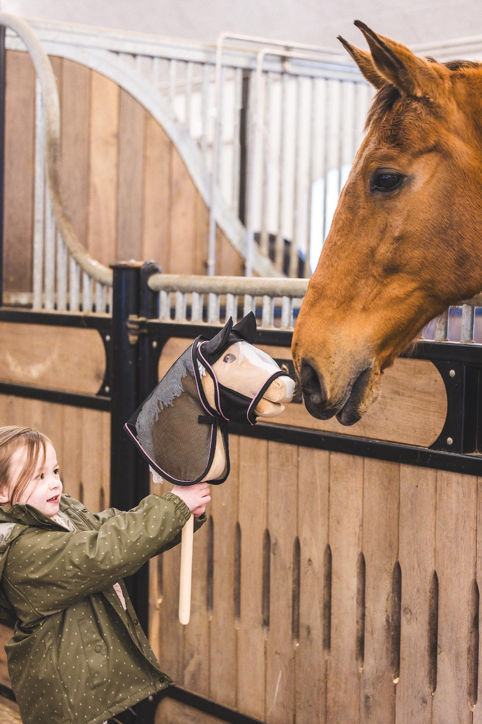 My Hobby Horse Insekten-Fliegendecke