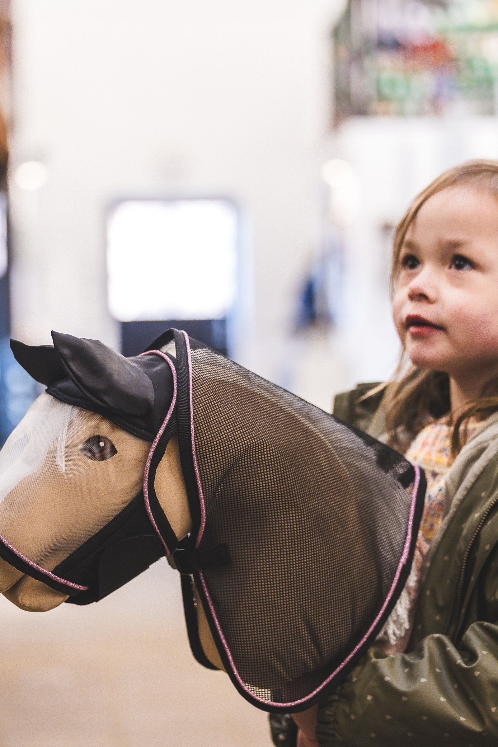 My Hobby Horse Insekten-Fliegendecke