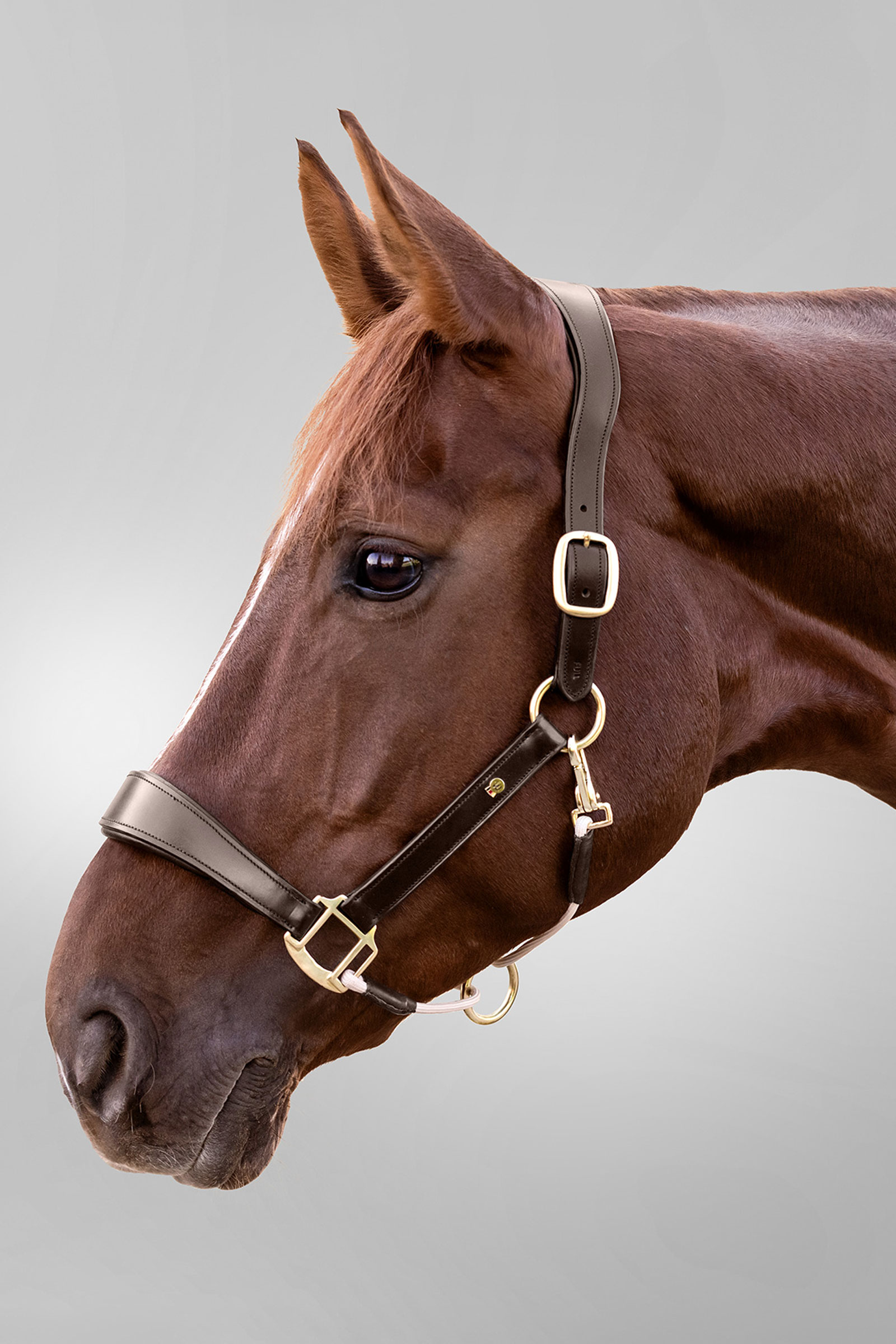 Royal Waldhausen S-Line Lederhalfter