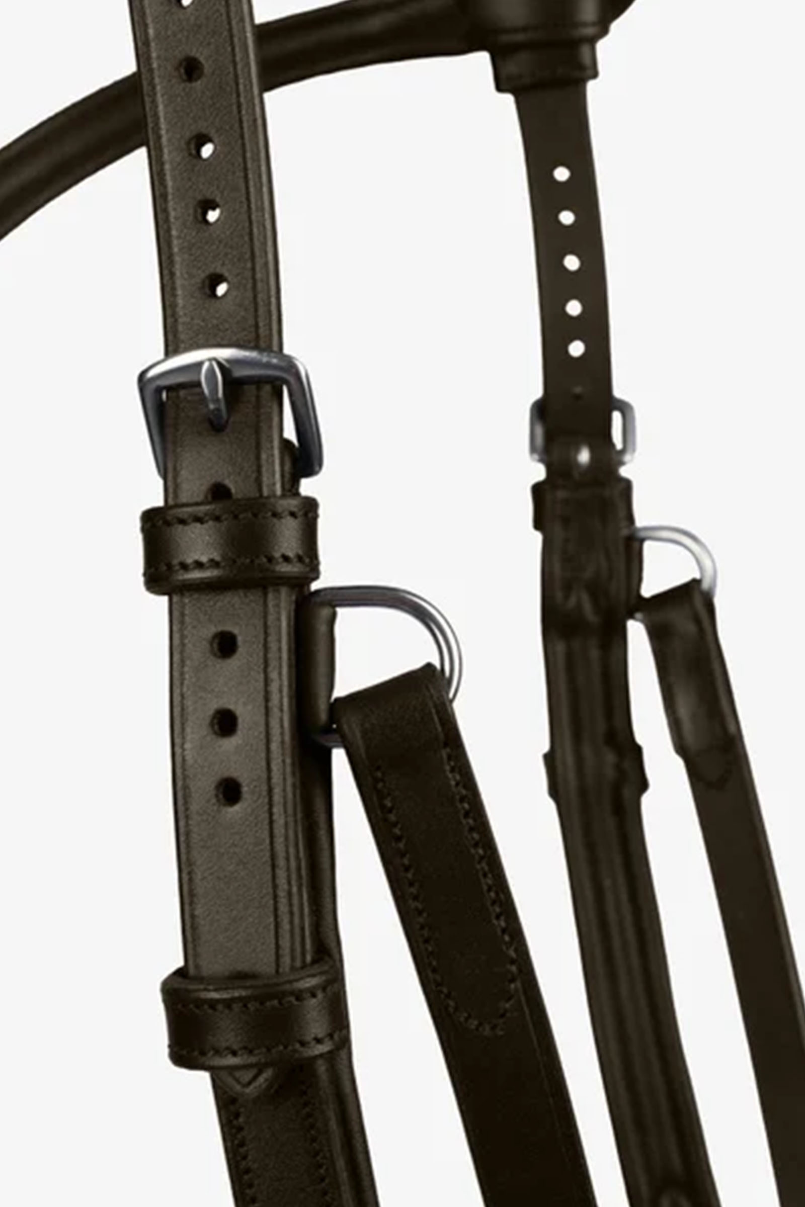 PS of Sweden Trense King Edward