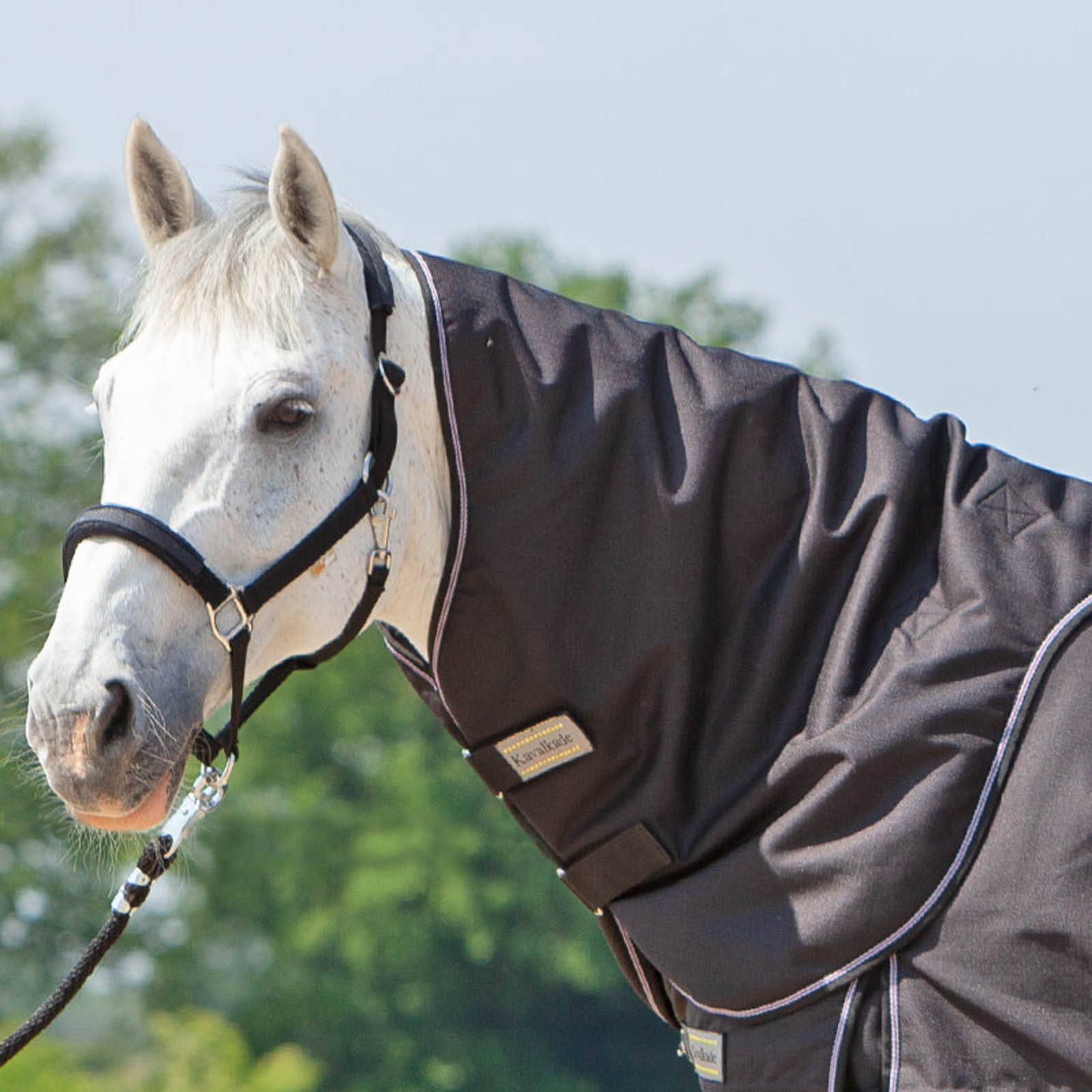 Kavalkade Halsteil f&uuml;r Alaska IV, 100 g