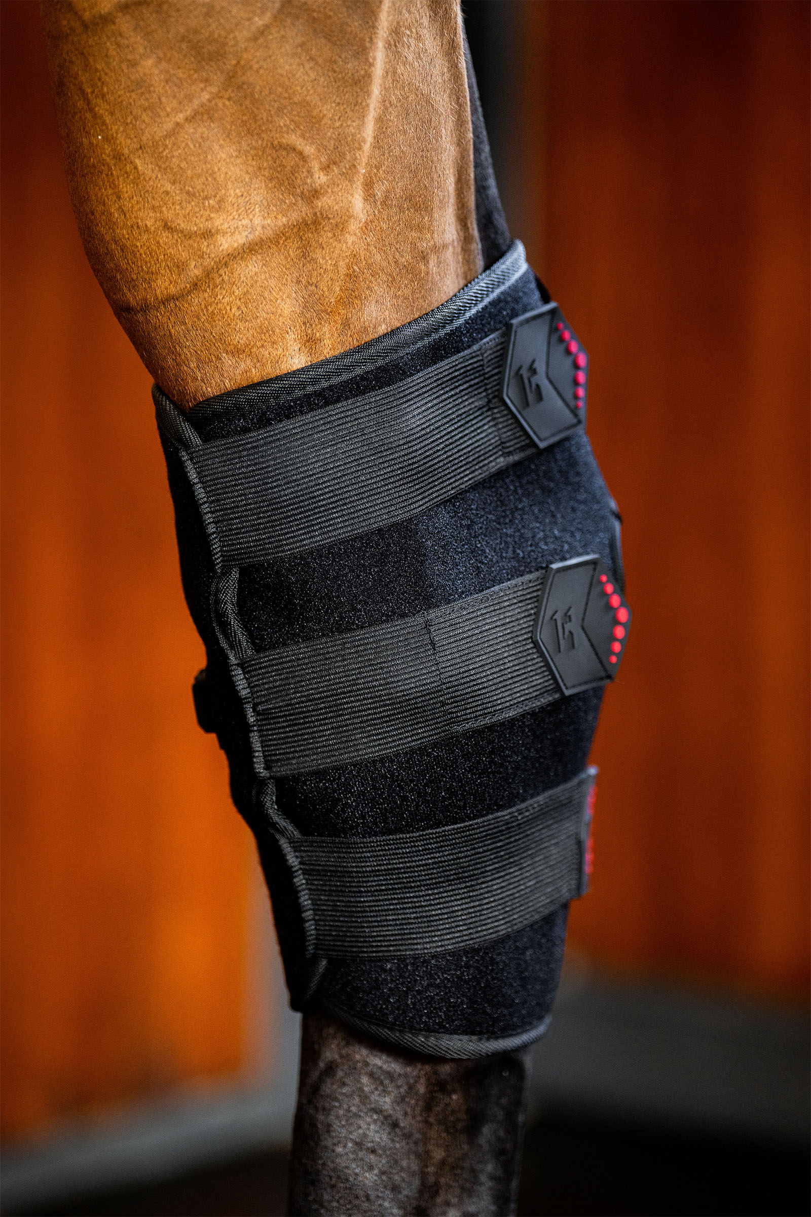 Horseware LED Rotlicht-Therapie Sprunggelenksgamasche (1 Stk.)