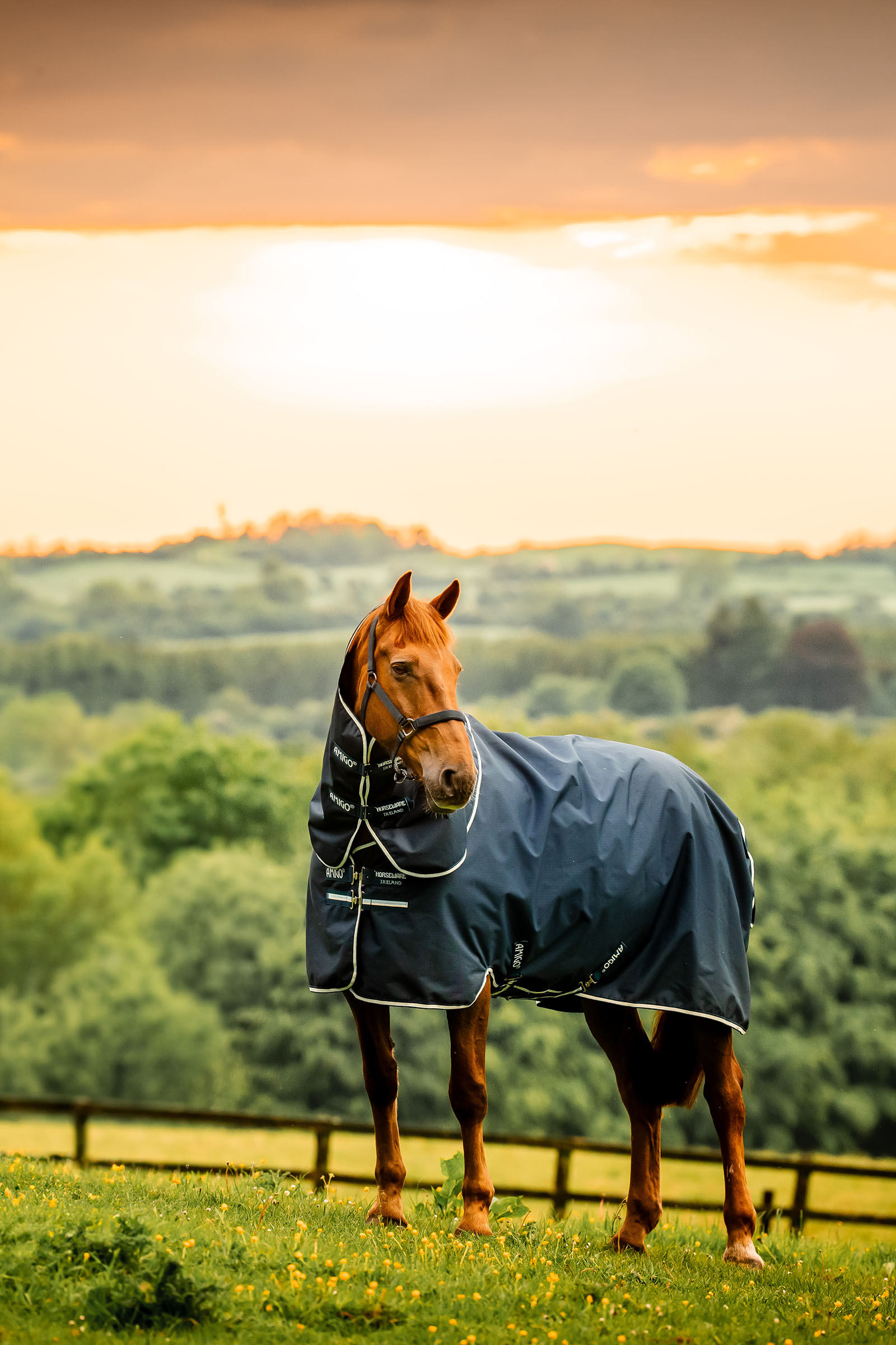 Horseware Amigo Ripstop 900D Plus Weidedecke mit abnehmbarem Halsteil, 100 g