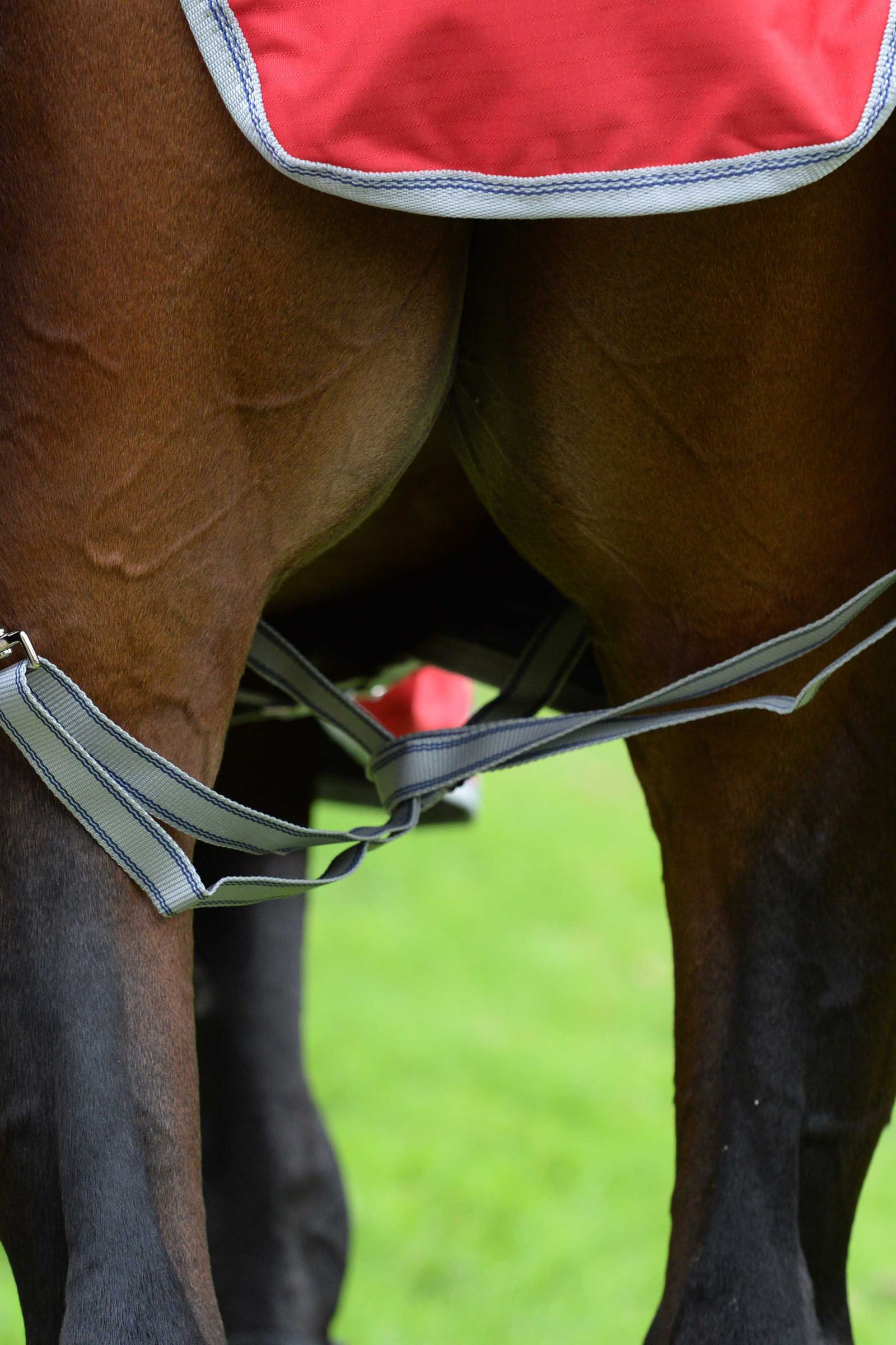 Weatherbeeta Comfitec Classic Weidedecke mit integriertem Halsteil, 50g