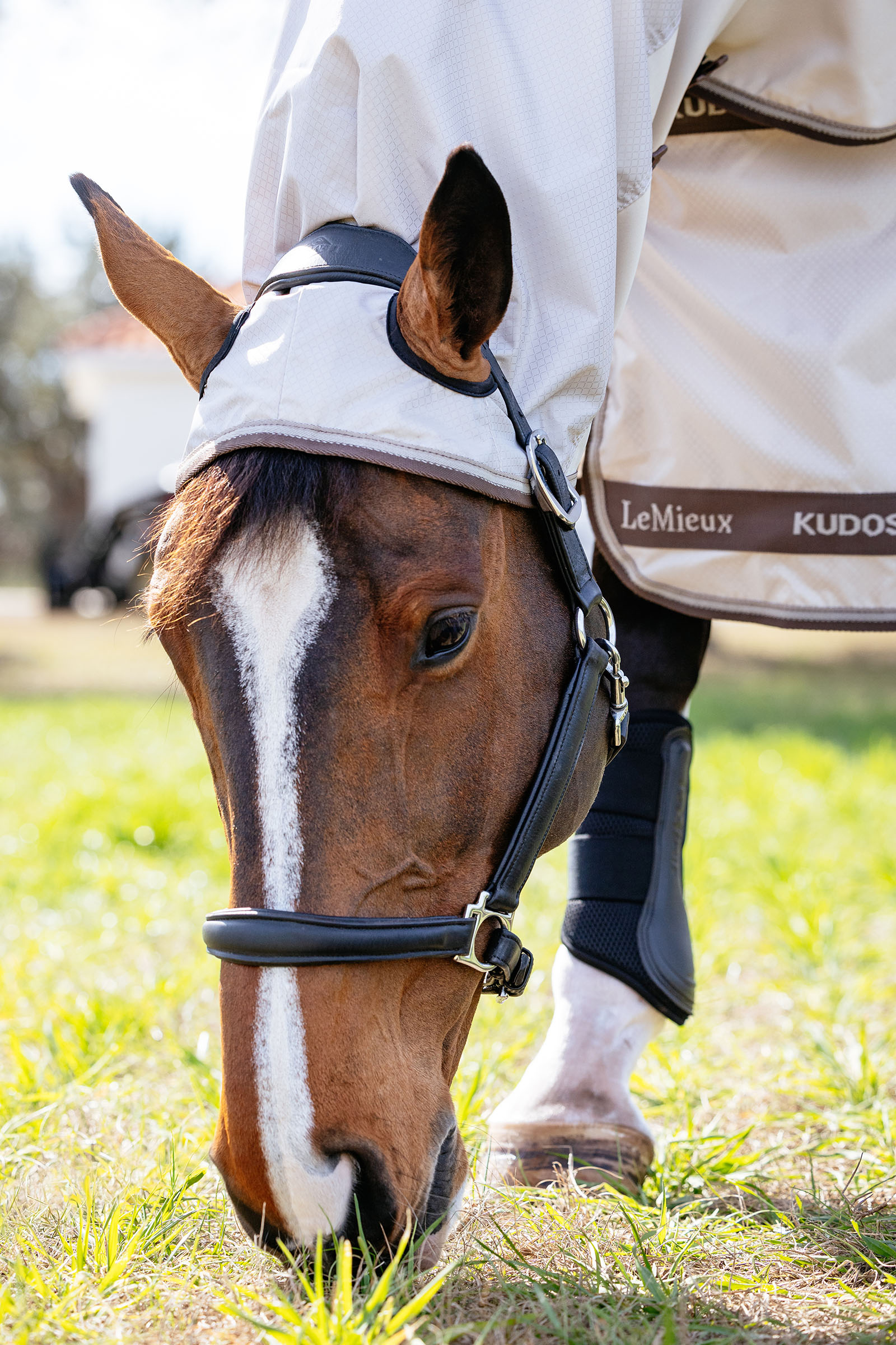 LeMieux Kudos Shower Pro Ekzemerdecke mit abnehmbarem Halsteil