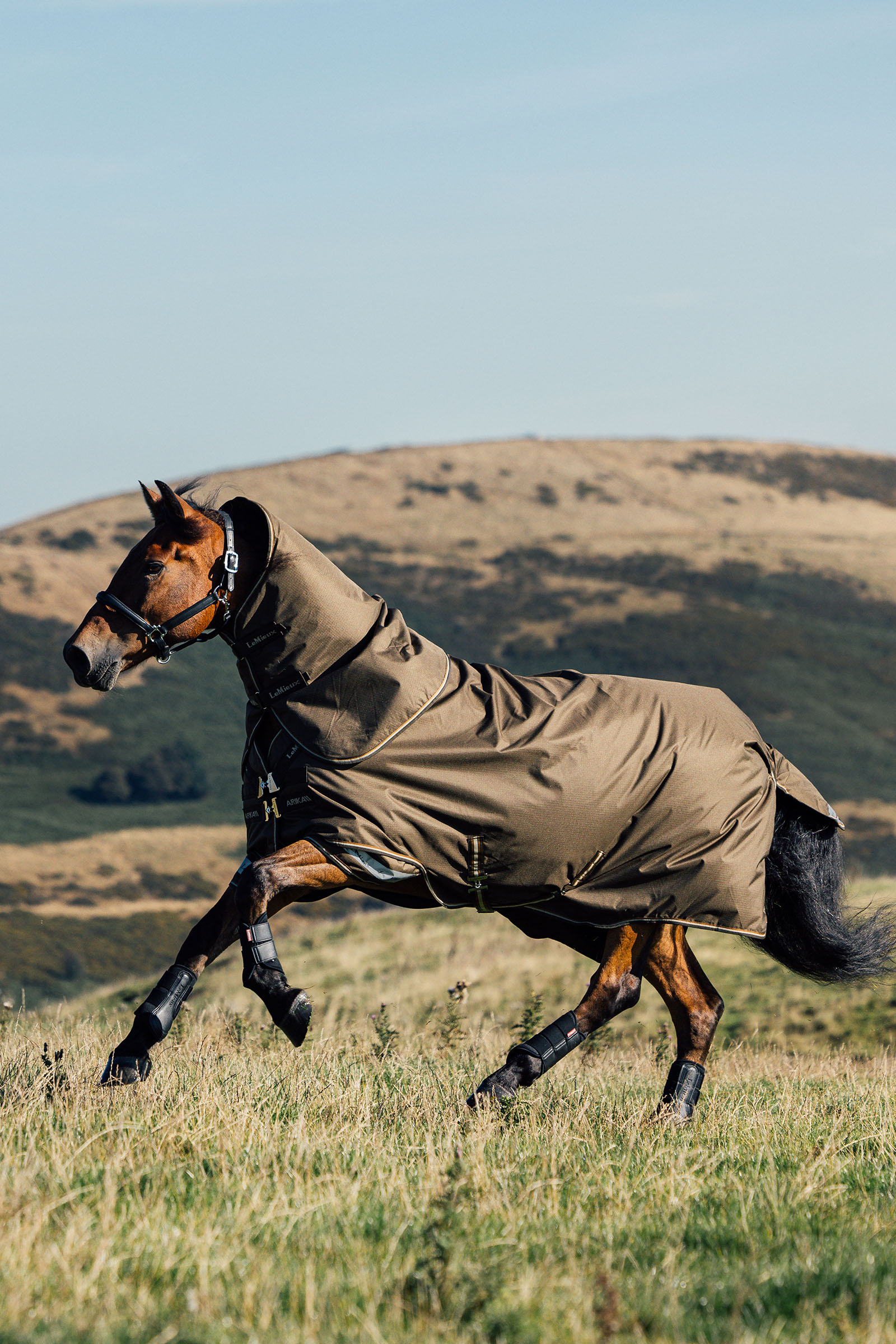 LeMieux Arika Ripstop Outdoordecke mit abnehmbarem Halsteil 0 g