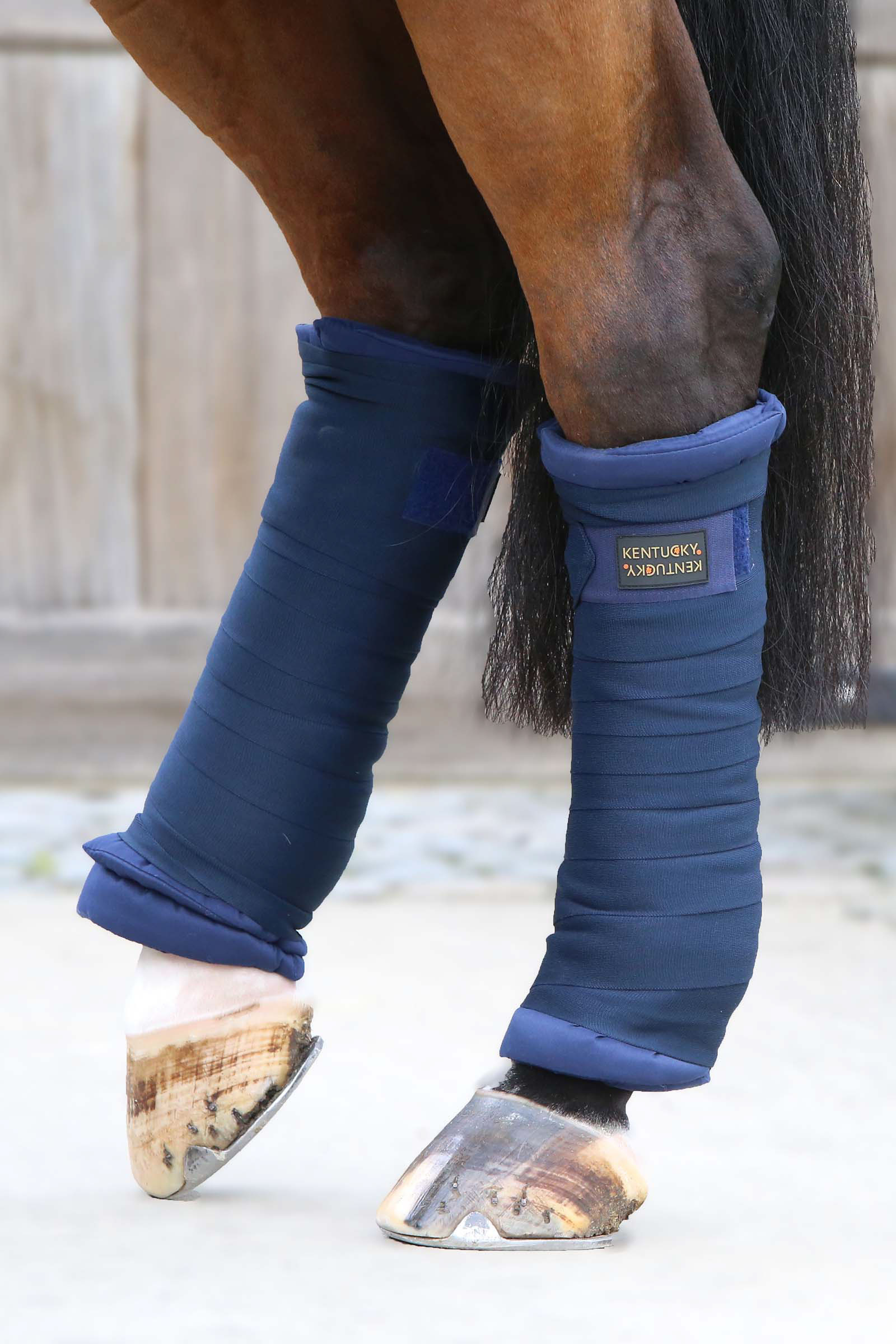 DB/AB Kentucky Horsewear gesteppte Bandagierunterlage, 4er-Set