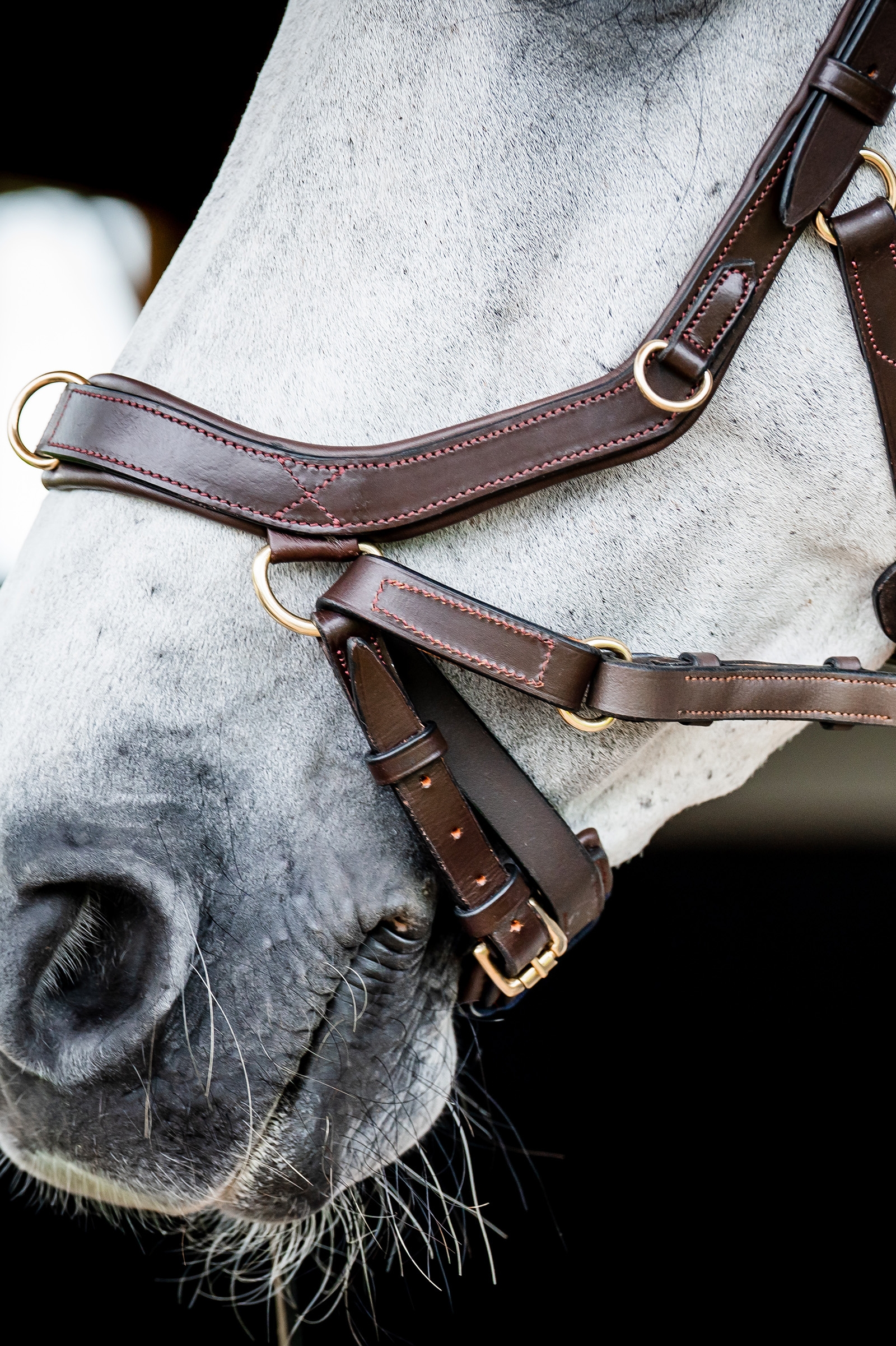 Horseware Micklem 2 Multi Trense