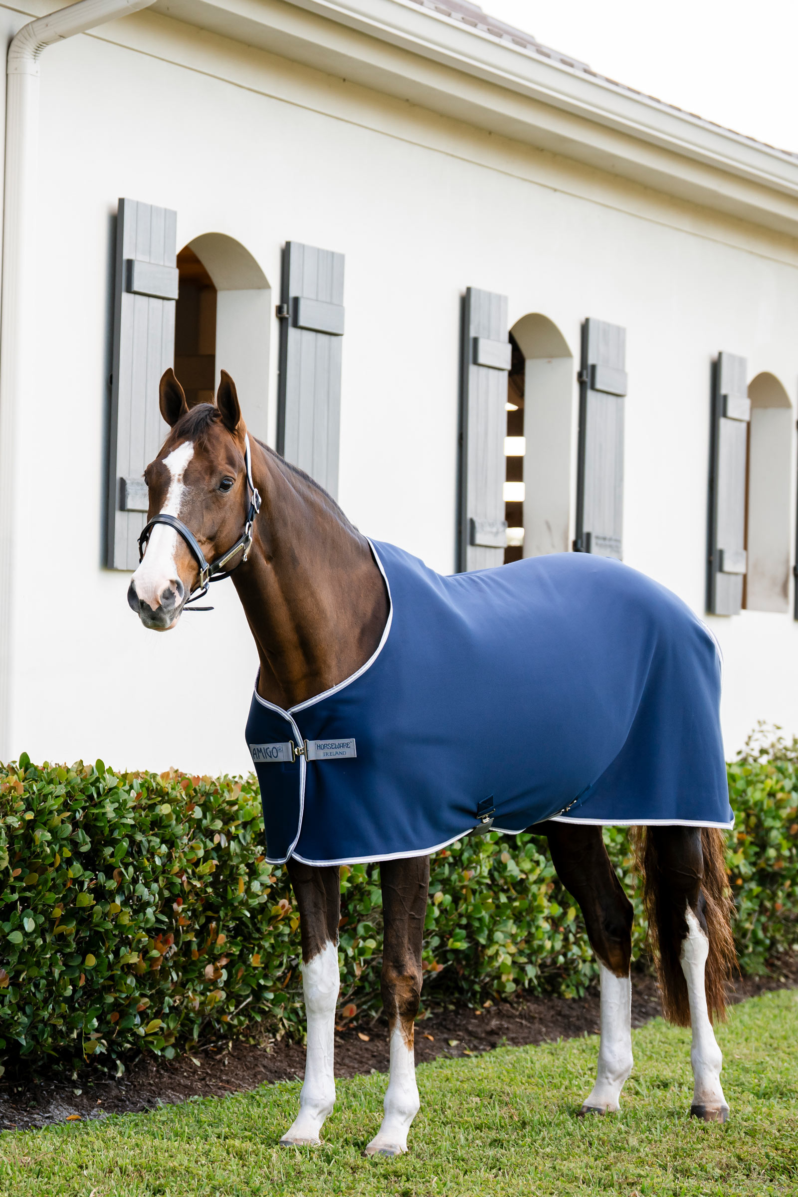Horseware Amigo Jersey Cooler Abschwitzdecke