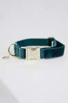 Kentucky Dogwear Hundehalsband Velvet