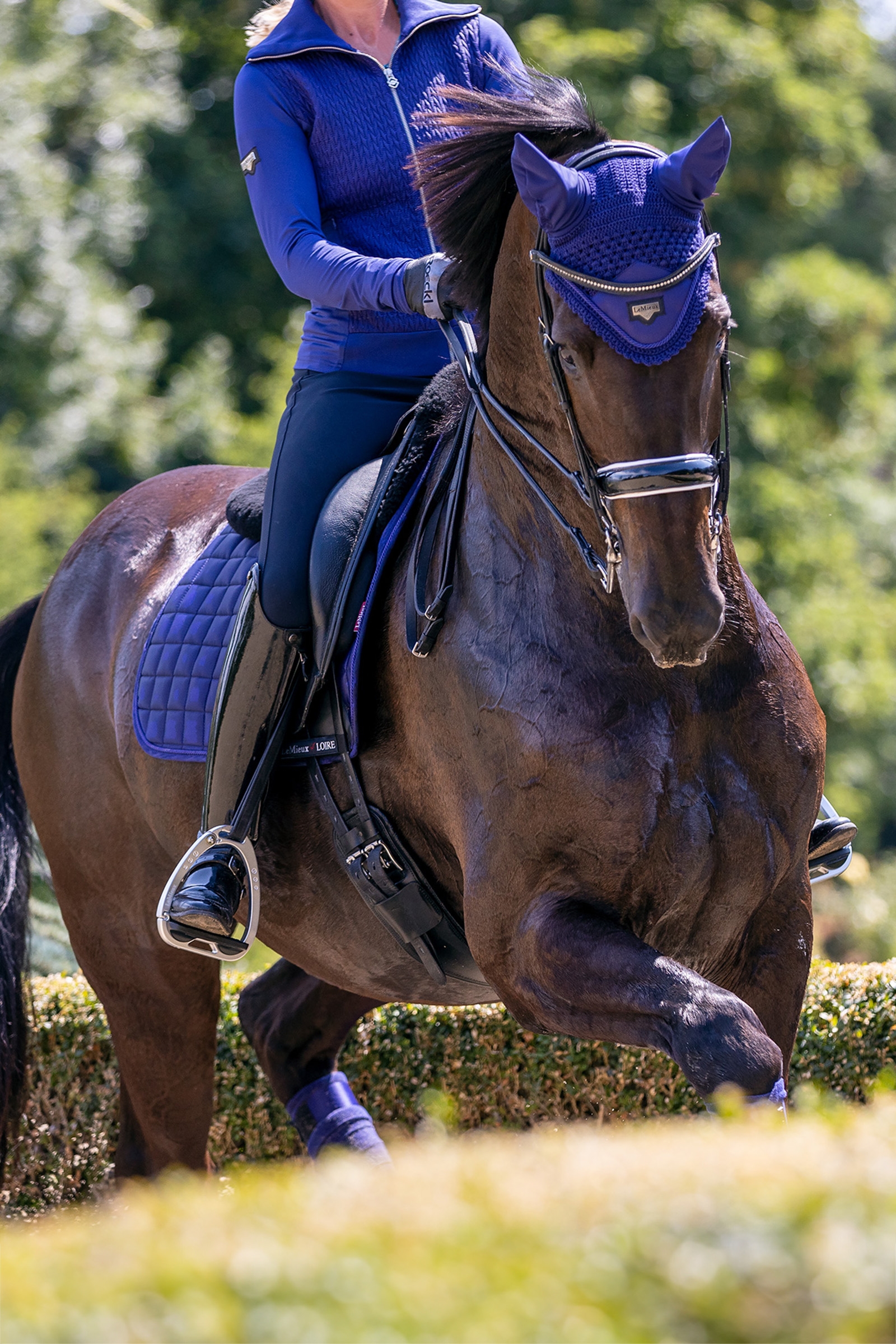 LeMieux Loire Satin Fliegenhaube