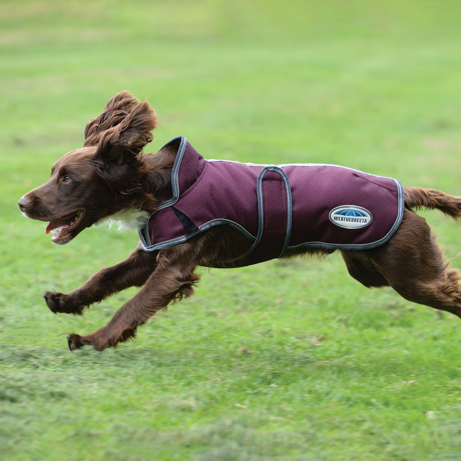 Weatherbeeta Comfitec Premier Free Parka Deluxe Hundemantel, 220g