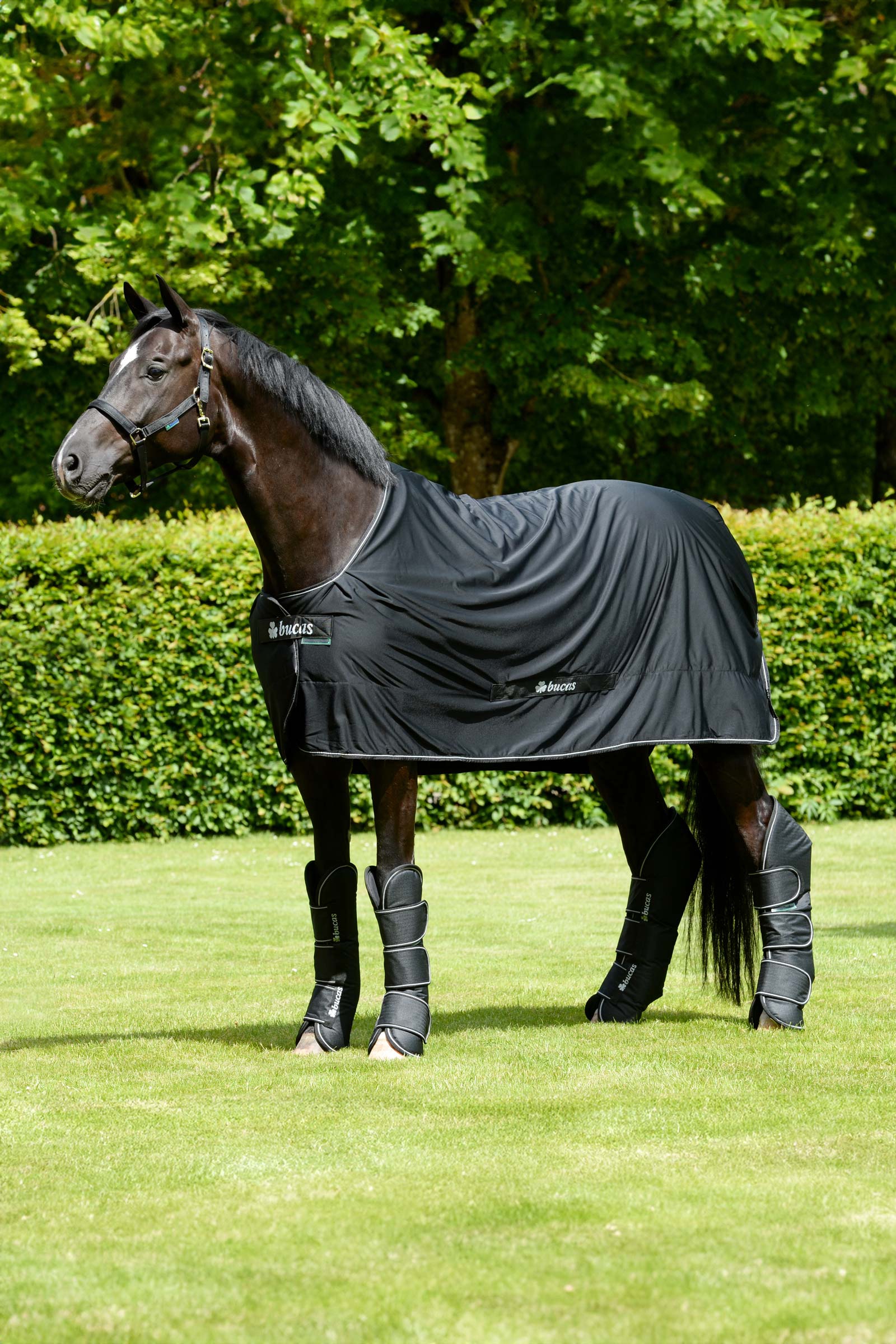 Bucas Freedom Transportgamaschen