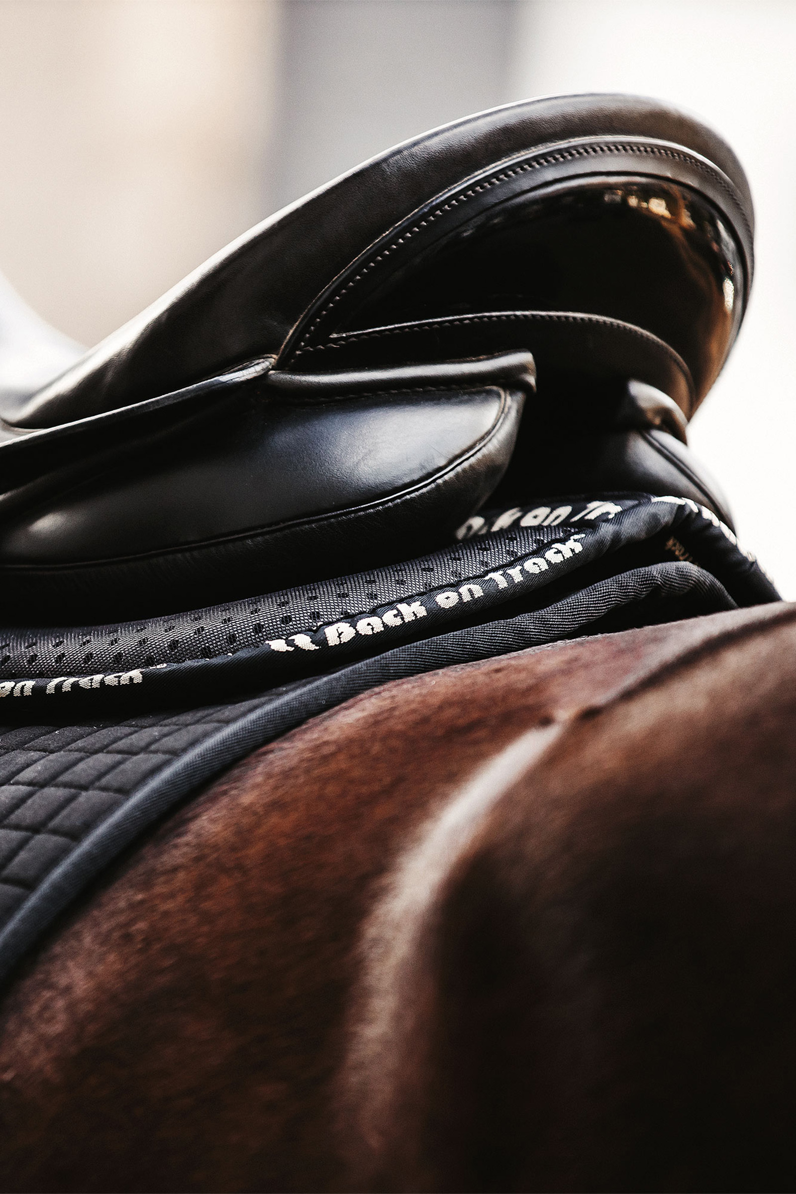 Back on Track Aurora Impact Sattelpad