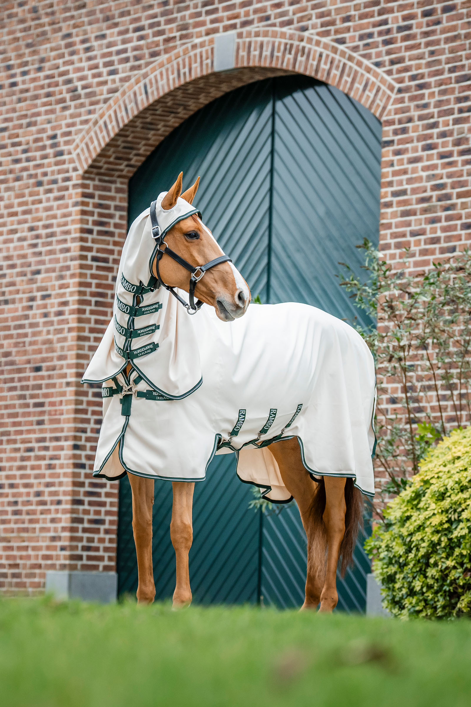 Horseware Rambo Hoody Fliegendecke