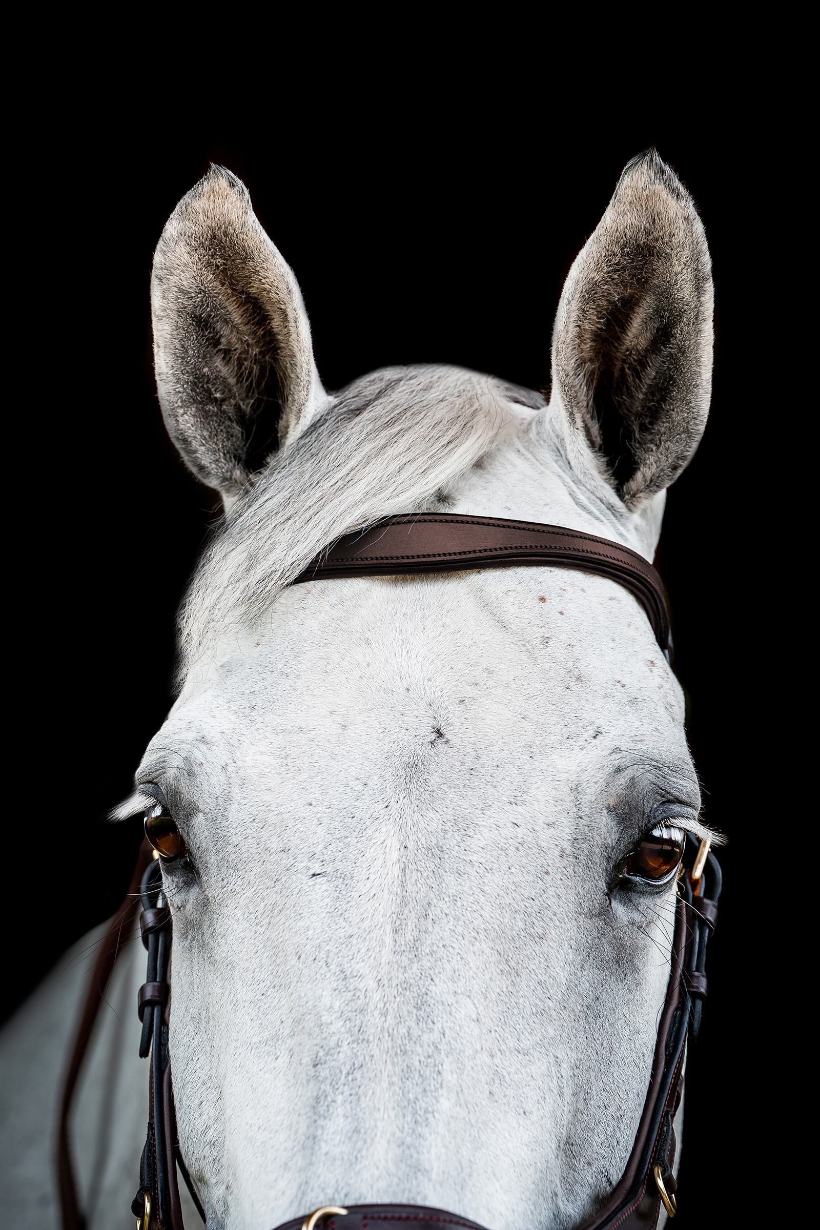 Horseware Micklem 2 Multi Trense