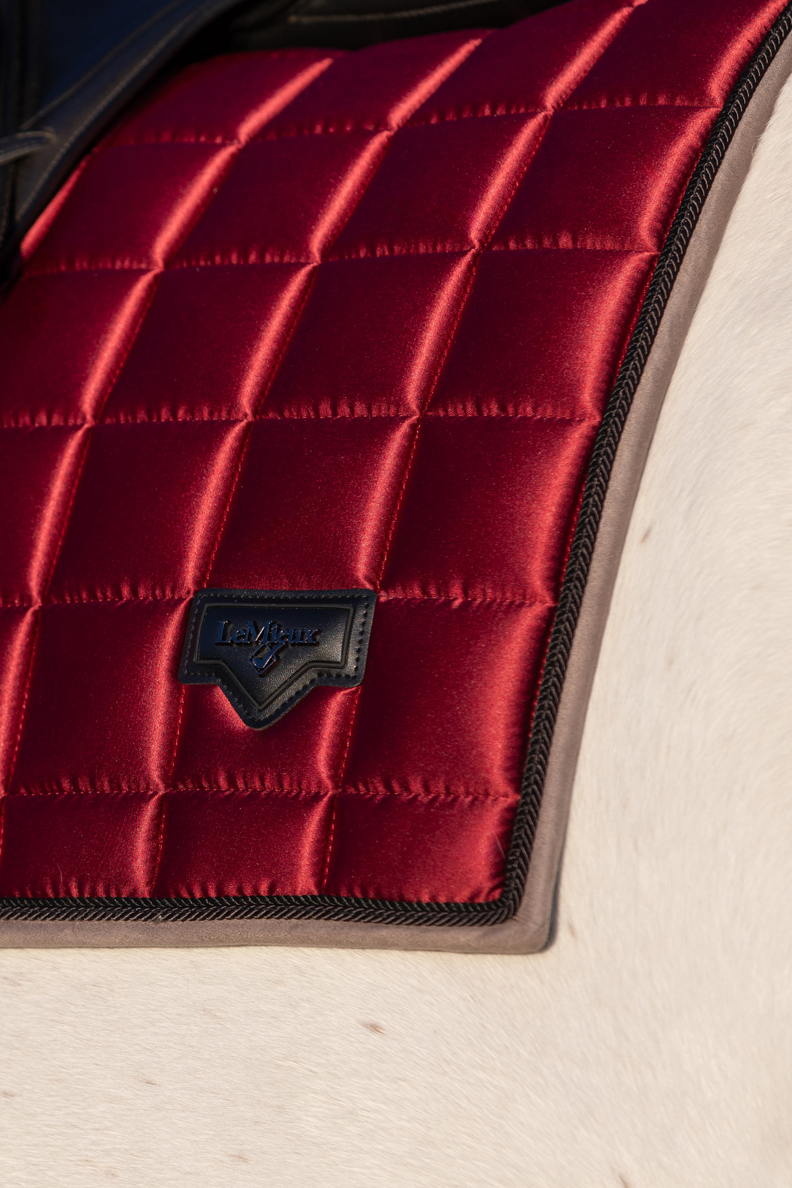 LeMieux Loire Klassische Quadratische Dressur Schabracke