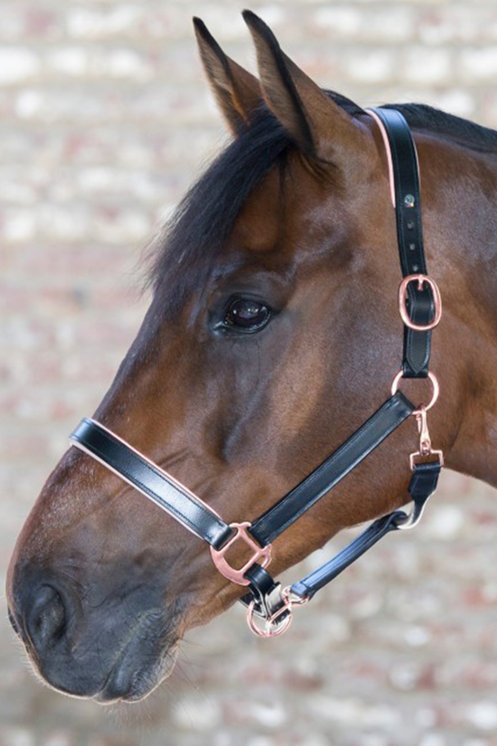 Waldhausen X-Line Lederhalfter Ros&eacute;