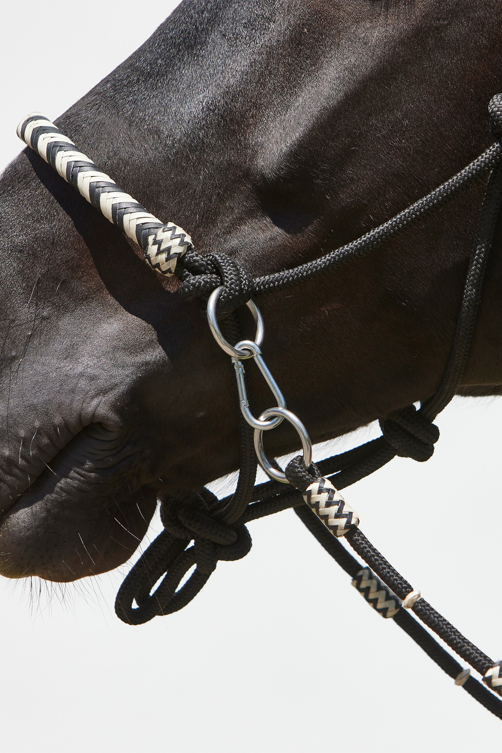 Kieffer Enya Knotenhalfter