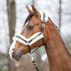Kavalkade Marvellous Lederhalfter mit Lammfell