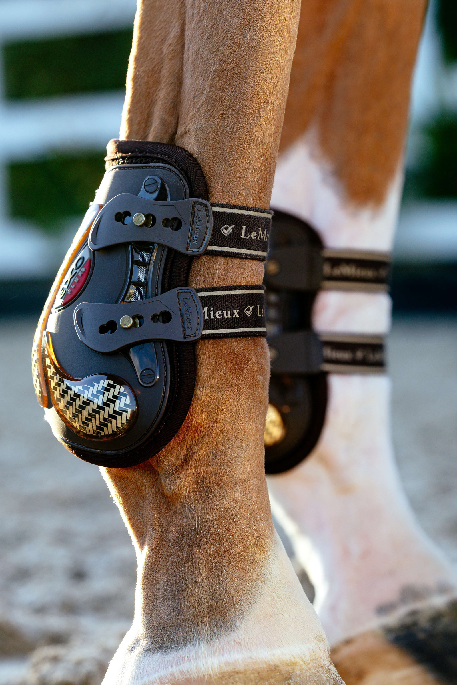 LeMieux EXO Flex Stiefeletten