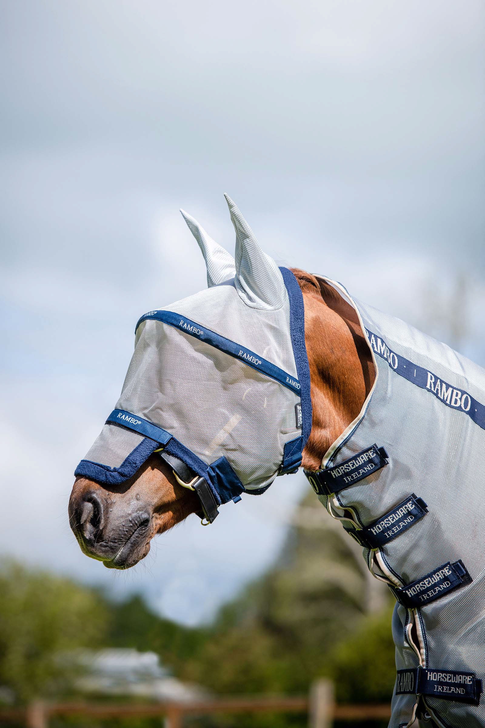 Silver/Dark Blue Horseware Rambo Plus Fliegenmaske