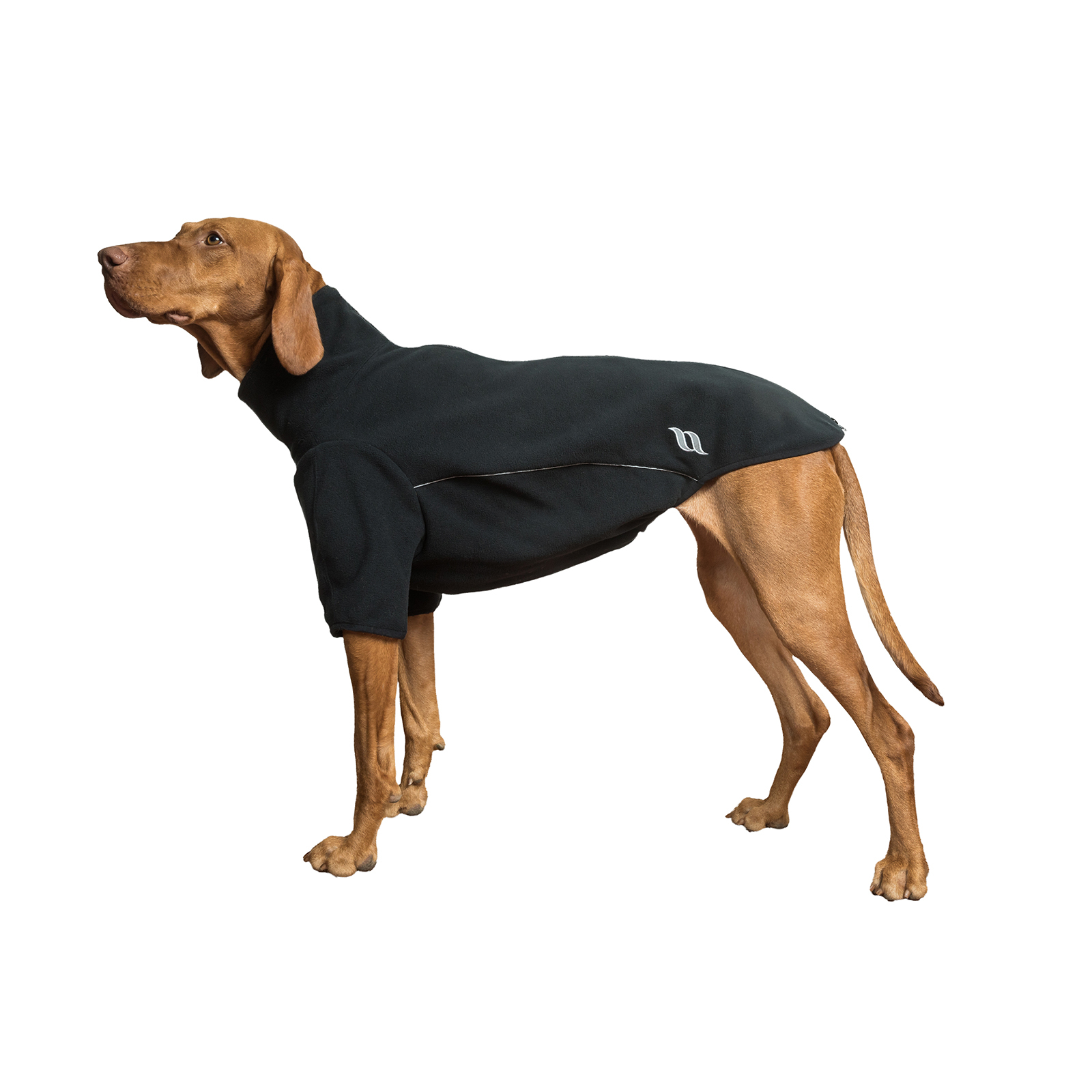 Back on Track Cassie All-Wetter-Pullover, 35-40cm