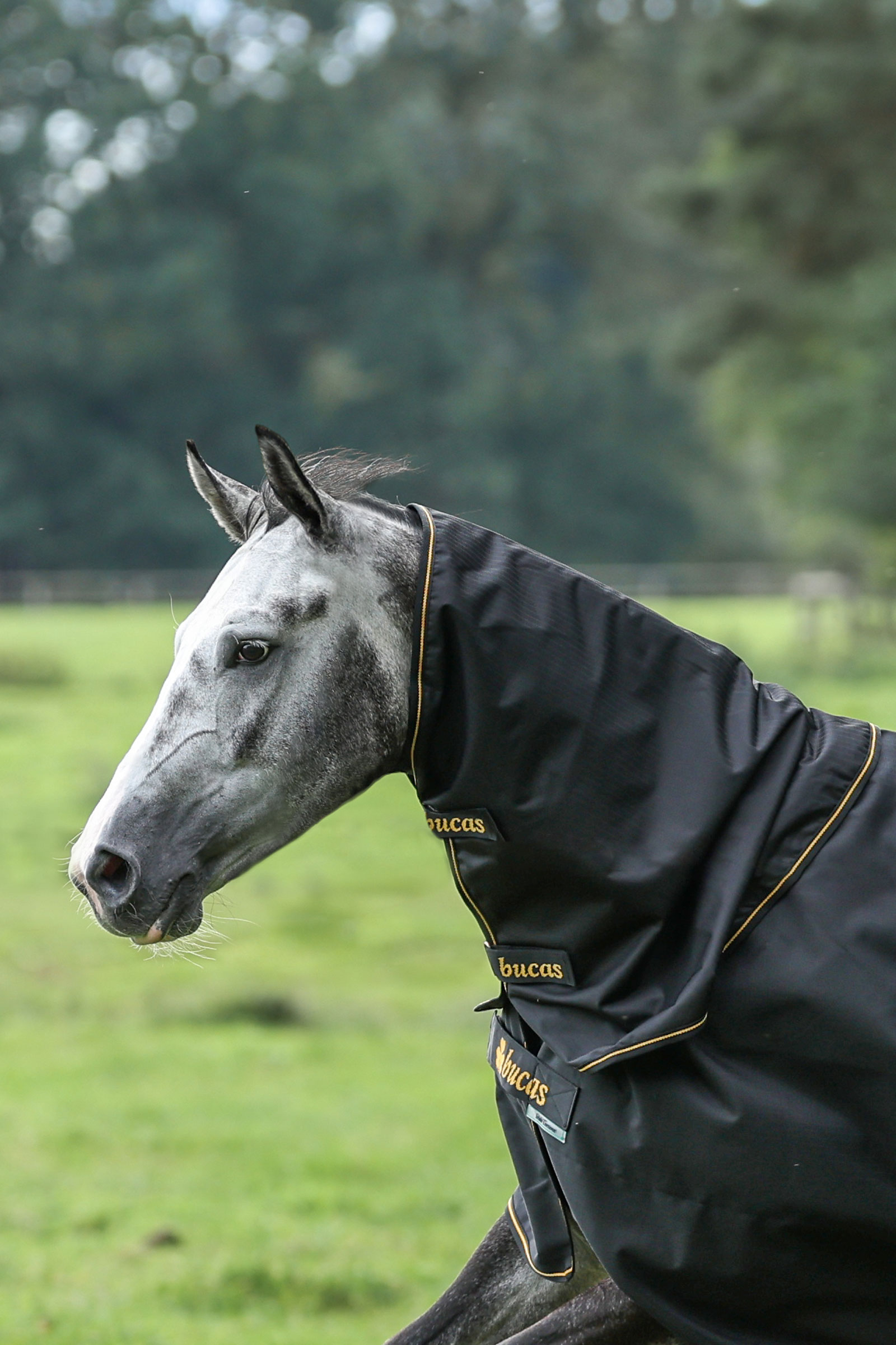 Bucas Irish Turnout Halsteil, 0g