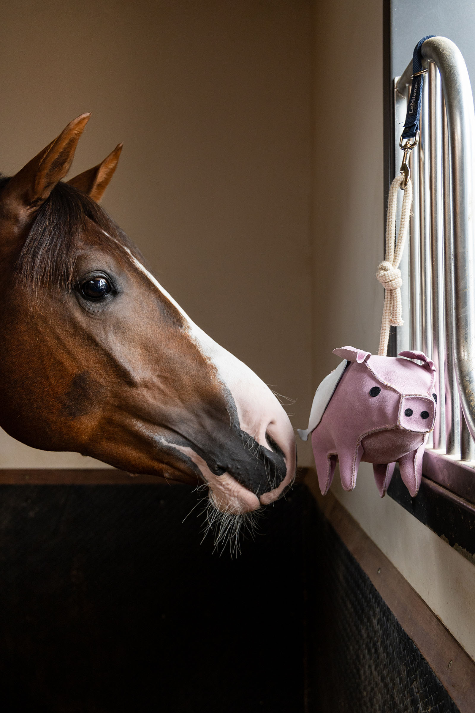 LeMieux Pferdespielzeug Fliegendes Schwein