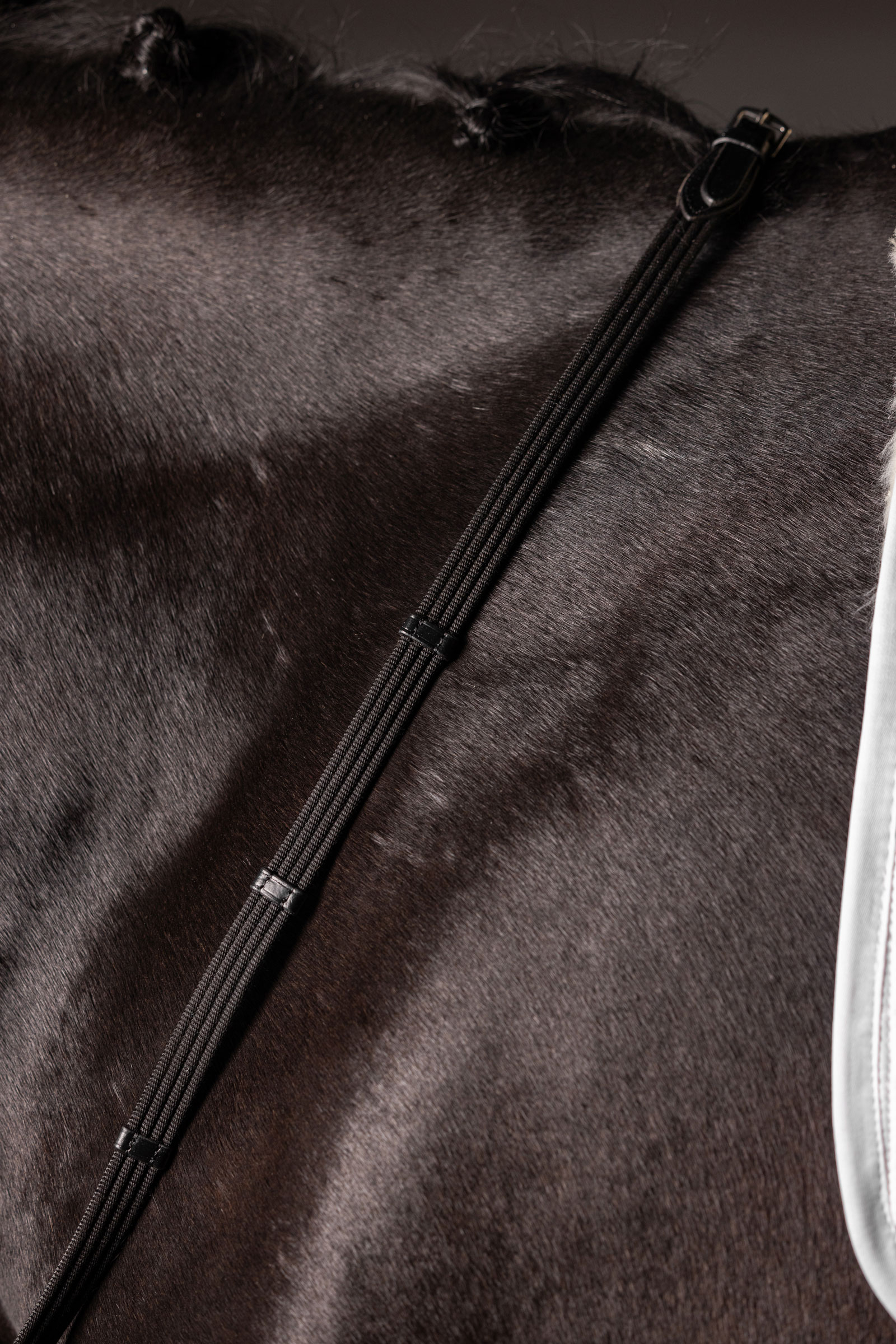 LeMieux Continental Gurtz&uuml;gel