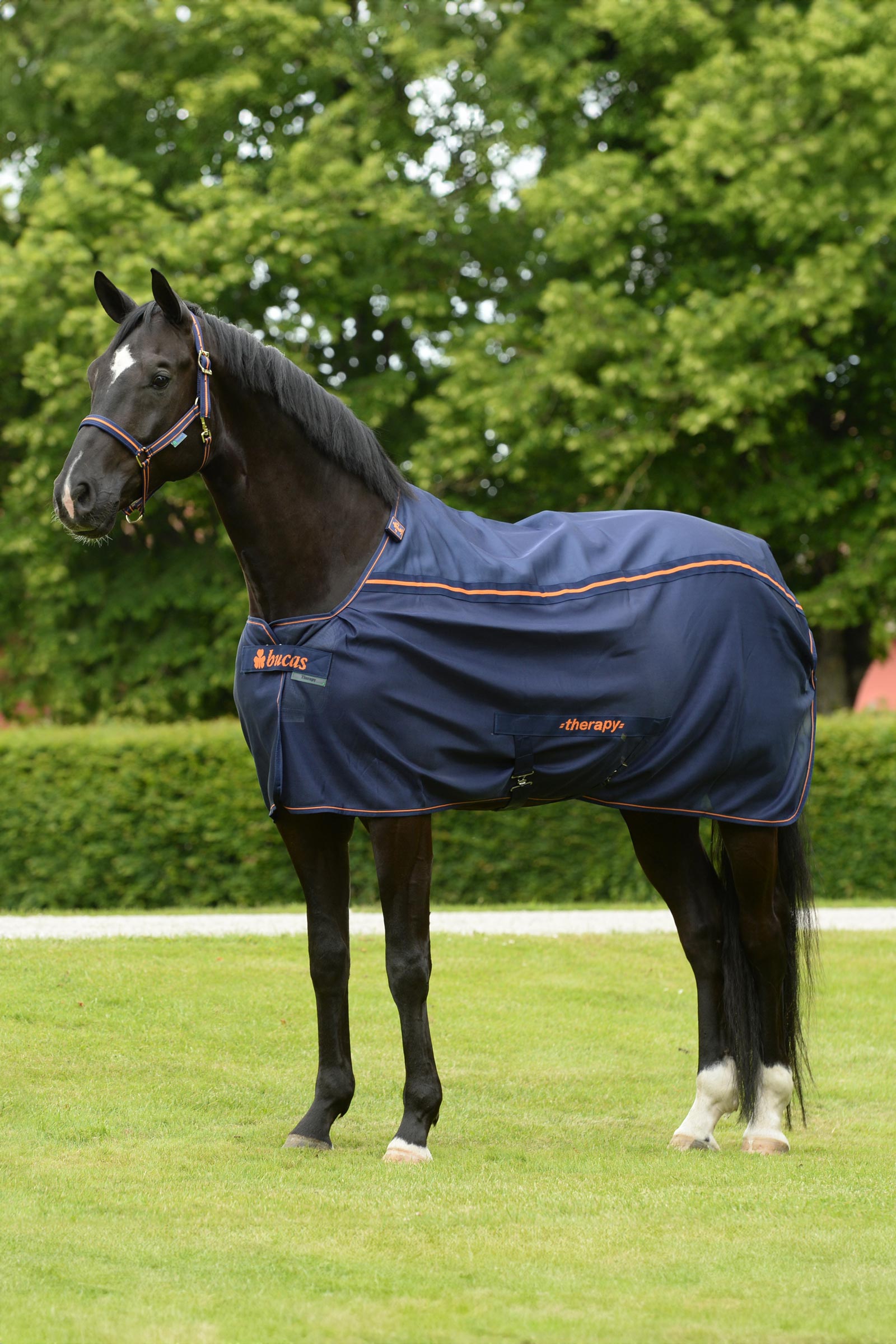 Bucas Therapy Mesh Abschwitzdecke